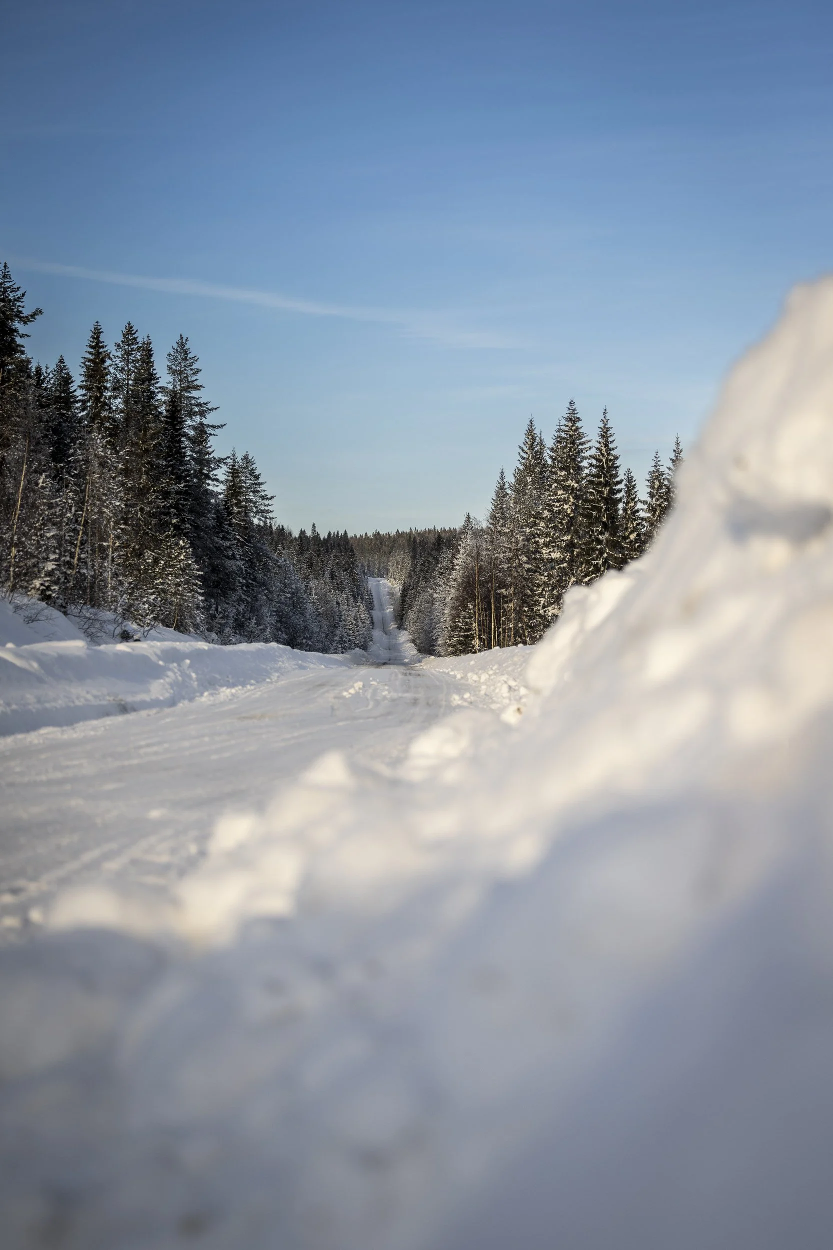 RPPA_2024_02_SWEDEN_011.jpg