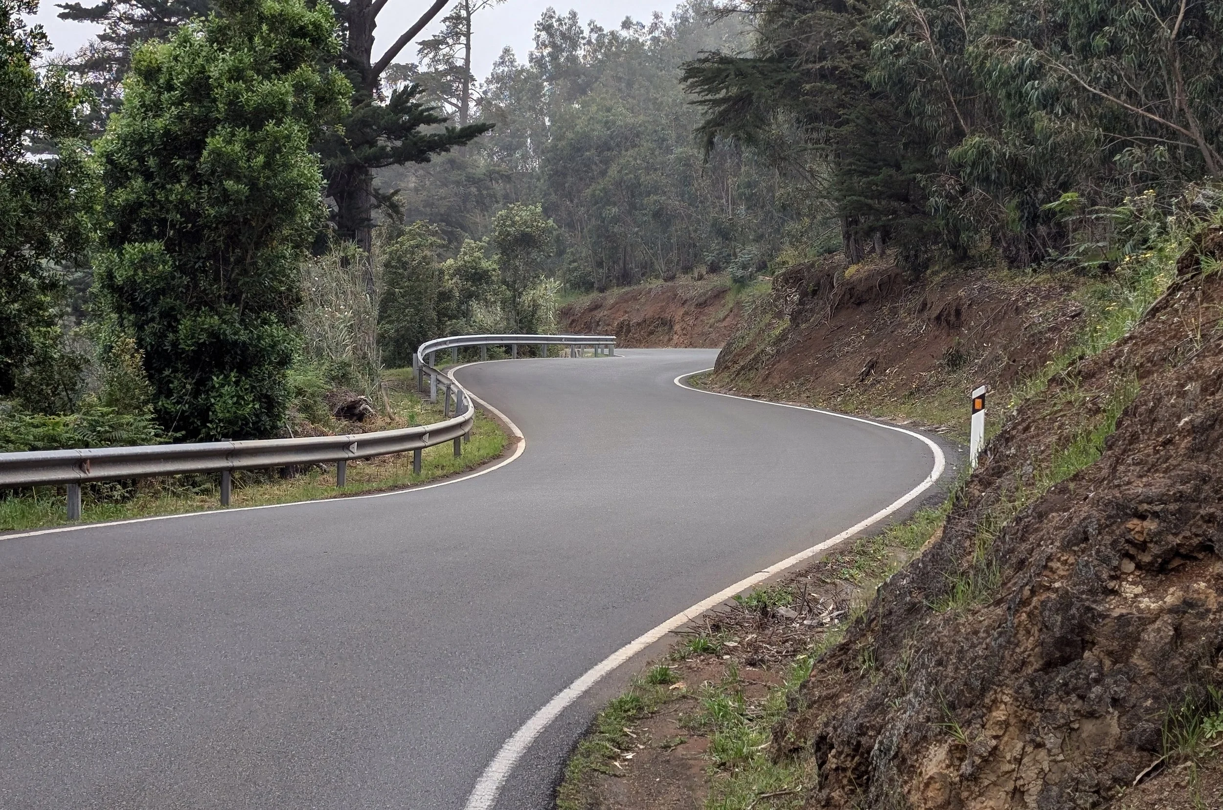 A winding mountain road with silver guardrails, surrounded by dense green trees and rocky terrain, under a cloudy sky.