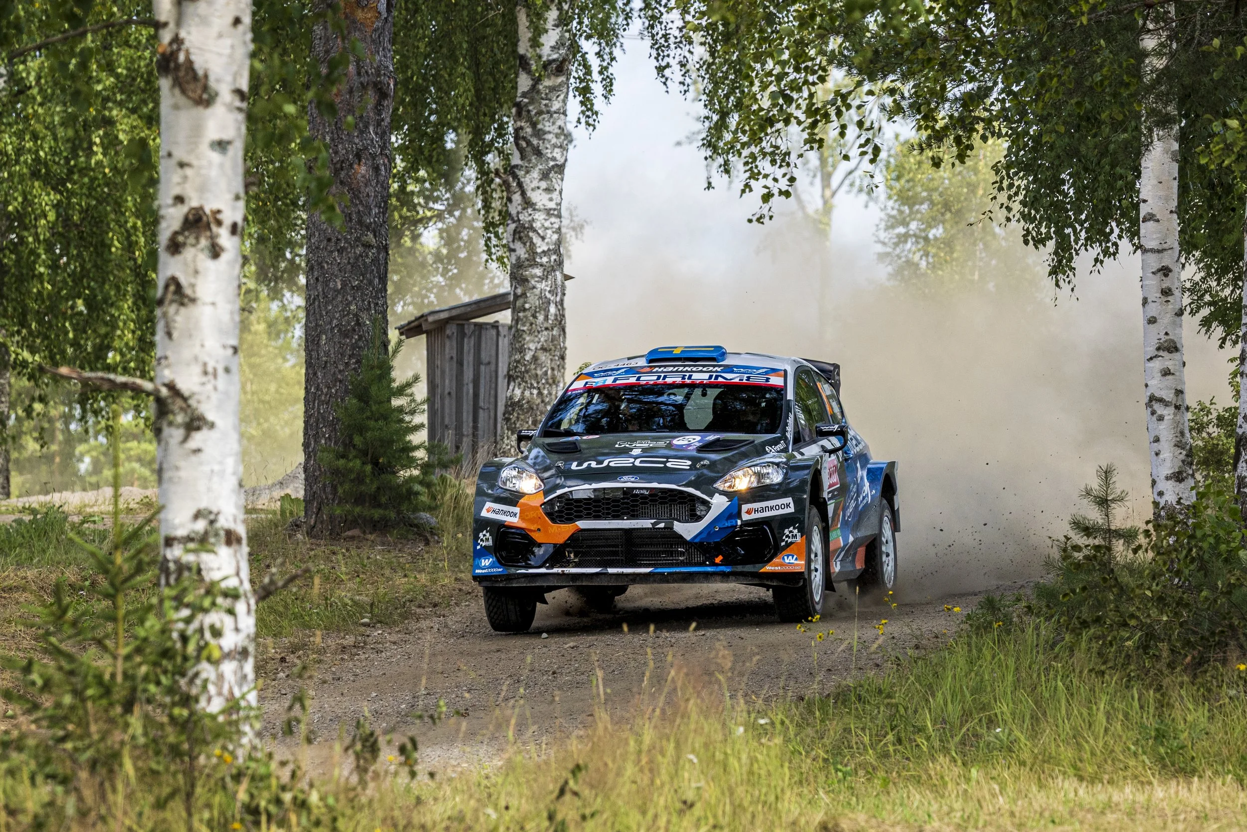 A rally car speeding on a dirt trail through a dense forest with tall birch trees, kicking up dust.