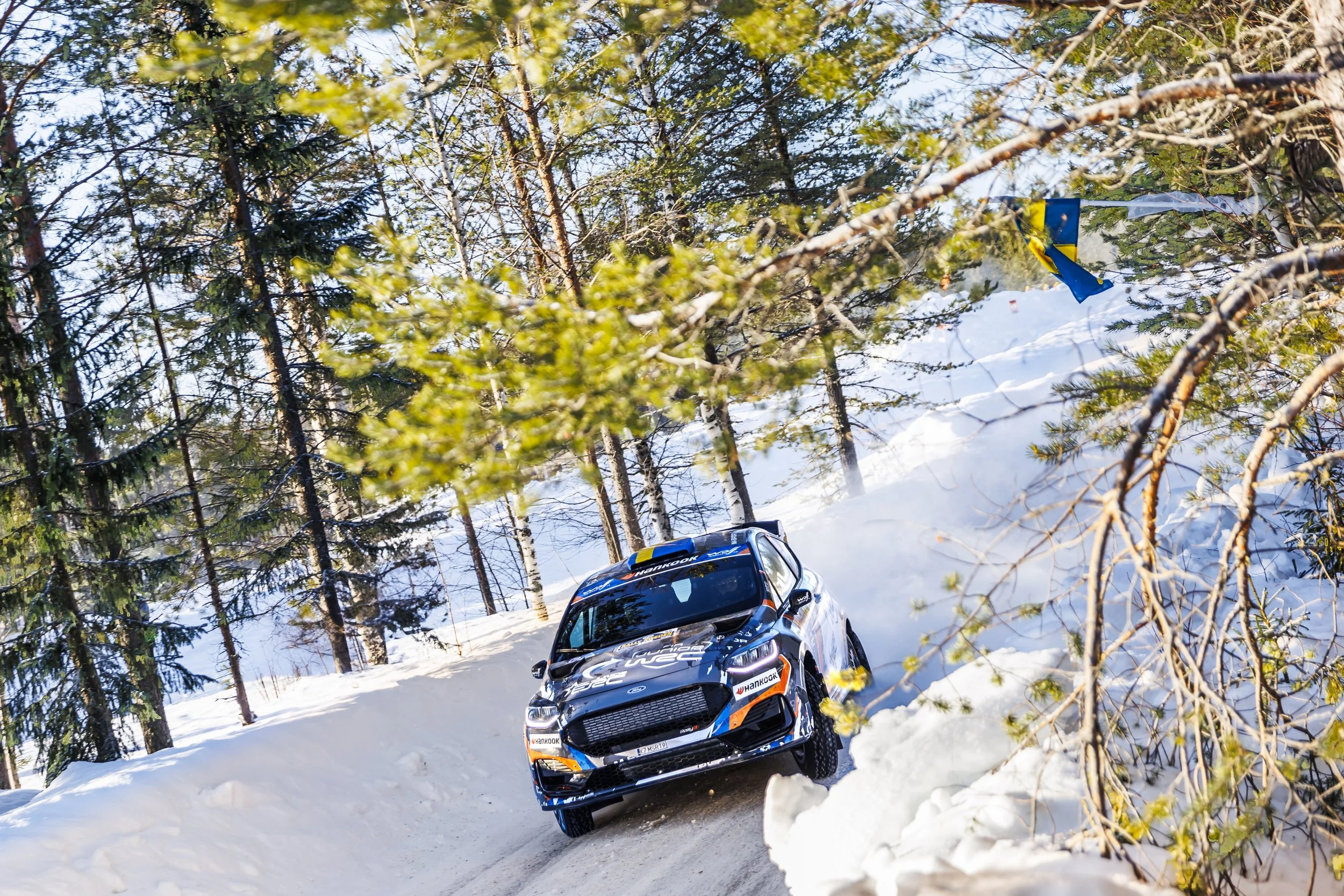 A black rally car driving on a snow-covered mountain road during winter, partially obscured by tree branches with green leaves and snow.