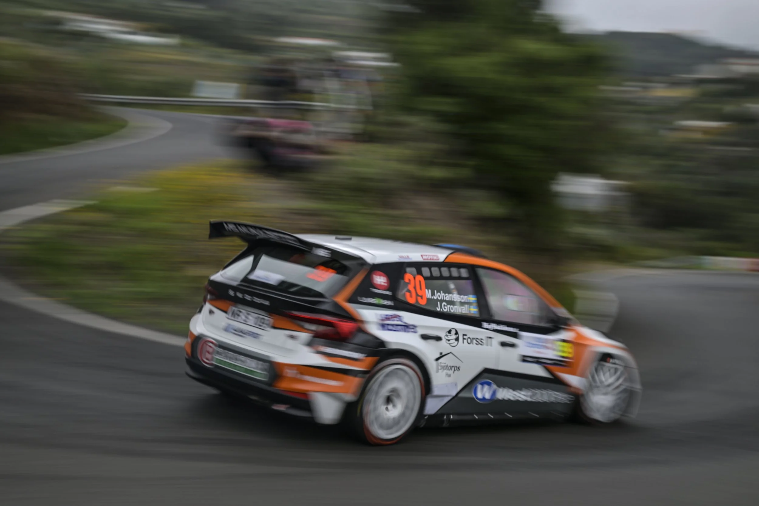 A rally race car speeding along a winding road, with a blurred background of trees and landscape, showcasing motion and speed.