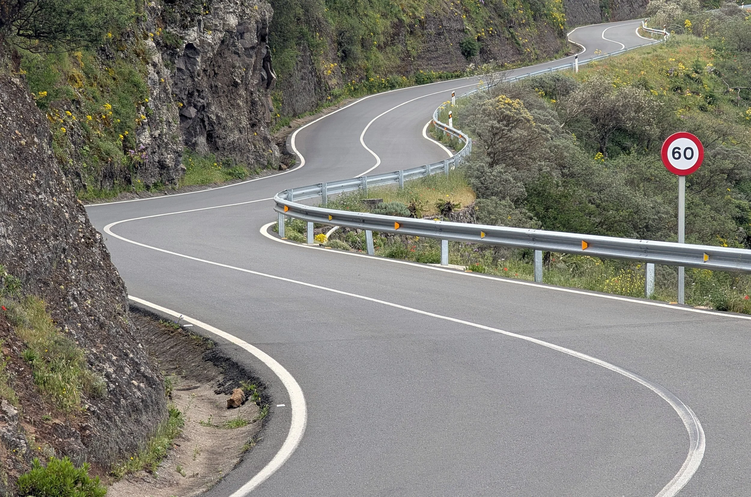 A winding mountain road with a speed limit sign of 60 km/h. The road is bordered by a rocky cliff on one side and dense greenery with yellow flowers on the other.