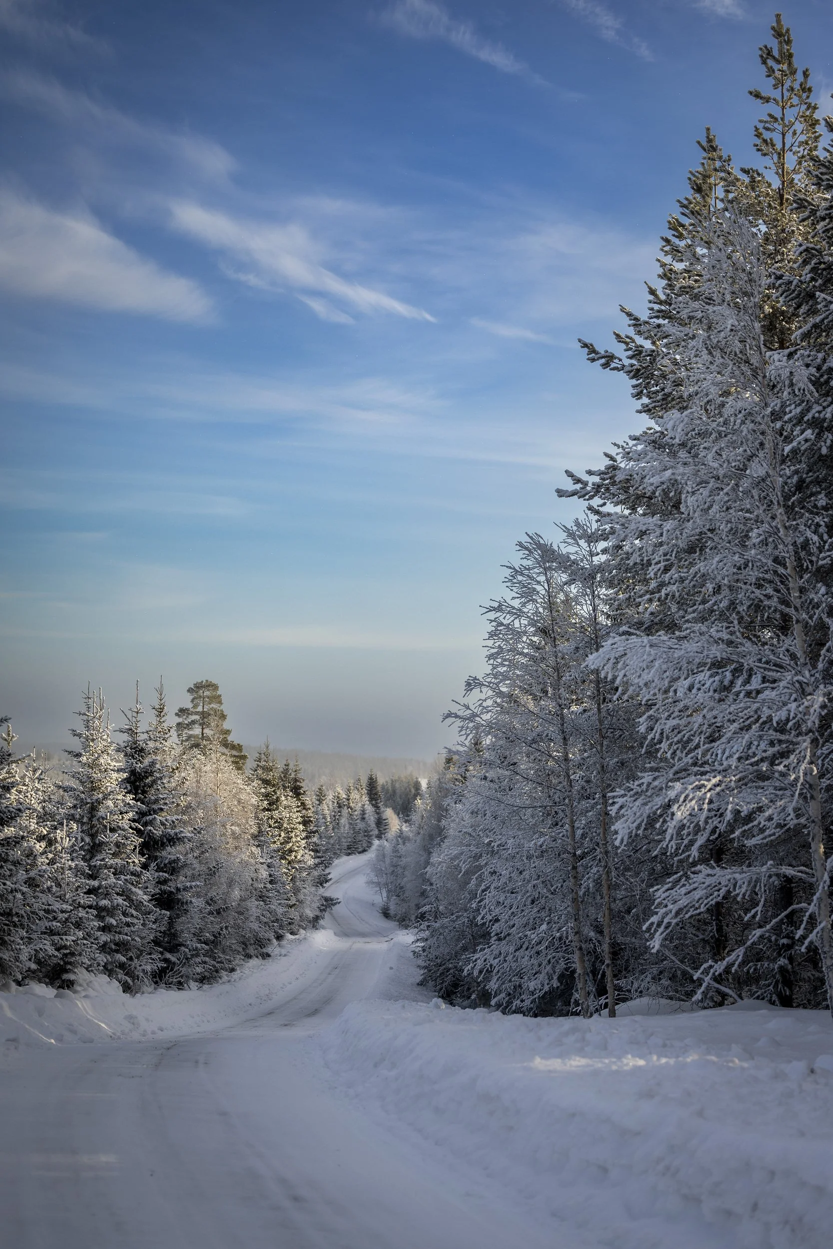 RPPA_2024_02_SWEDEN_013.jpg