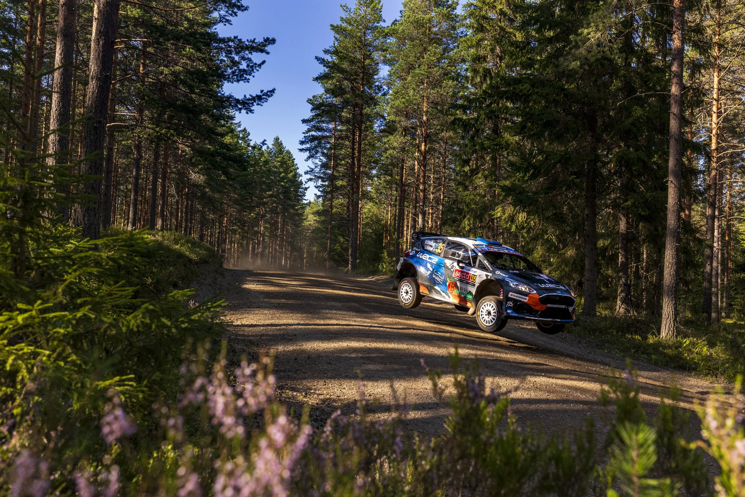 A rally car racing through a forest dirt road with trees on both sides under a clear blue sky.