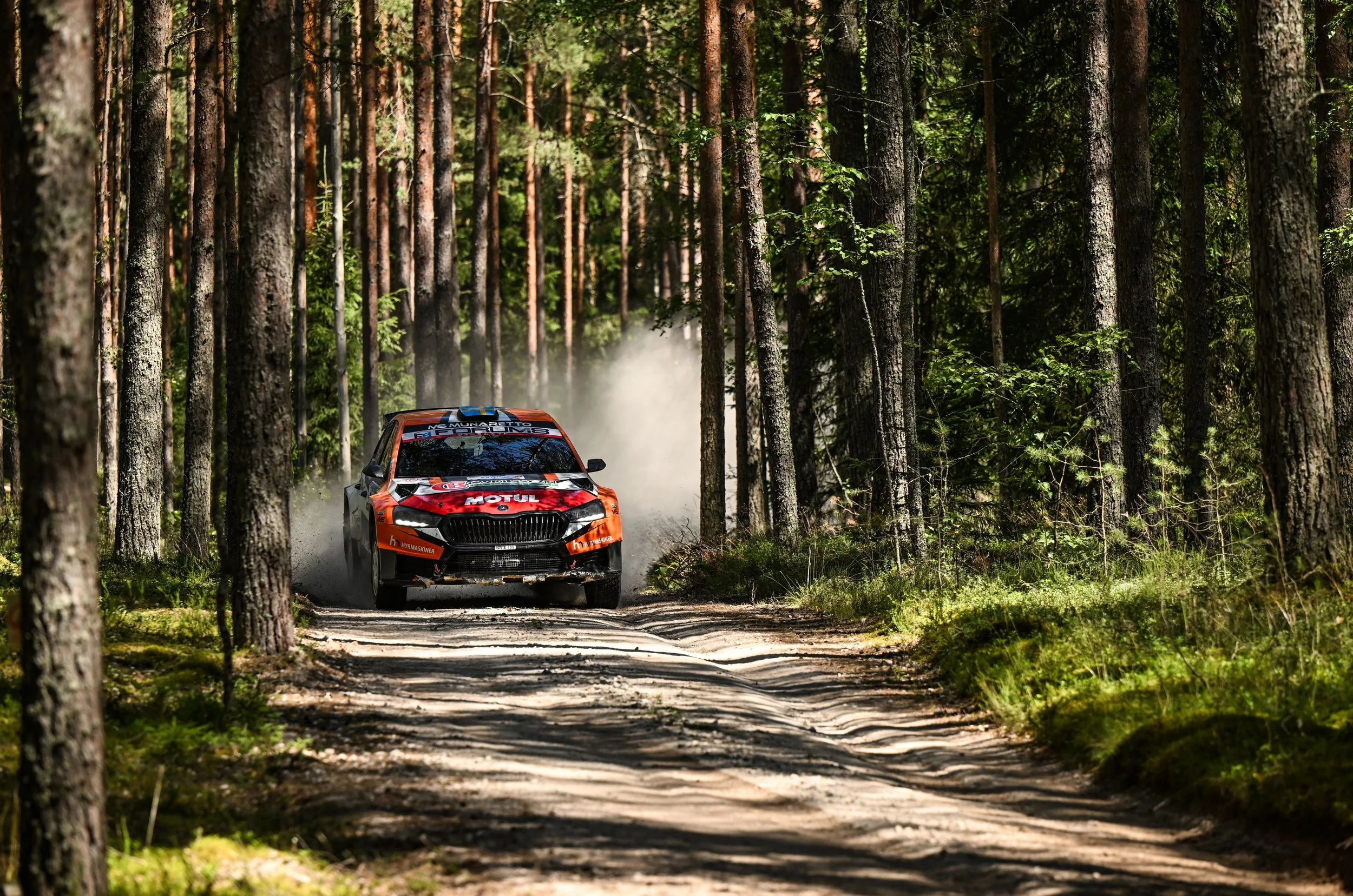 An orange rally car speeding through a forest dirt road, kicking up dust, surrounded by tall trees with sunlight filtering through the leaves.