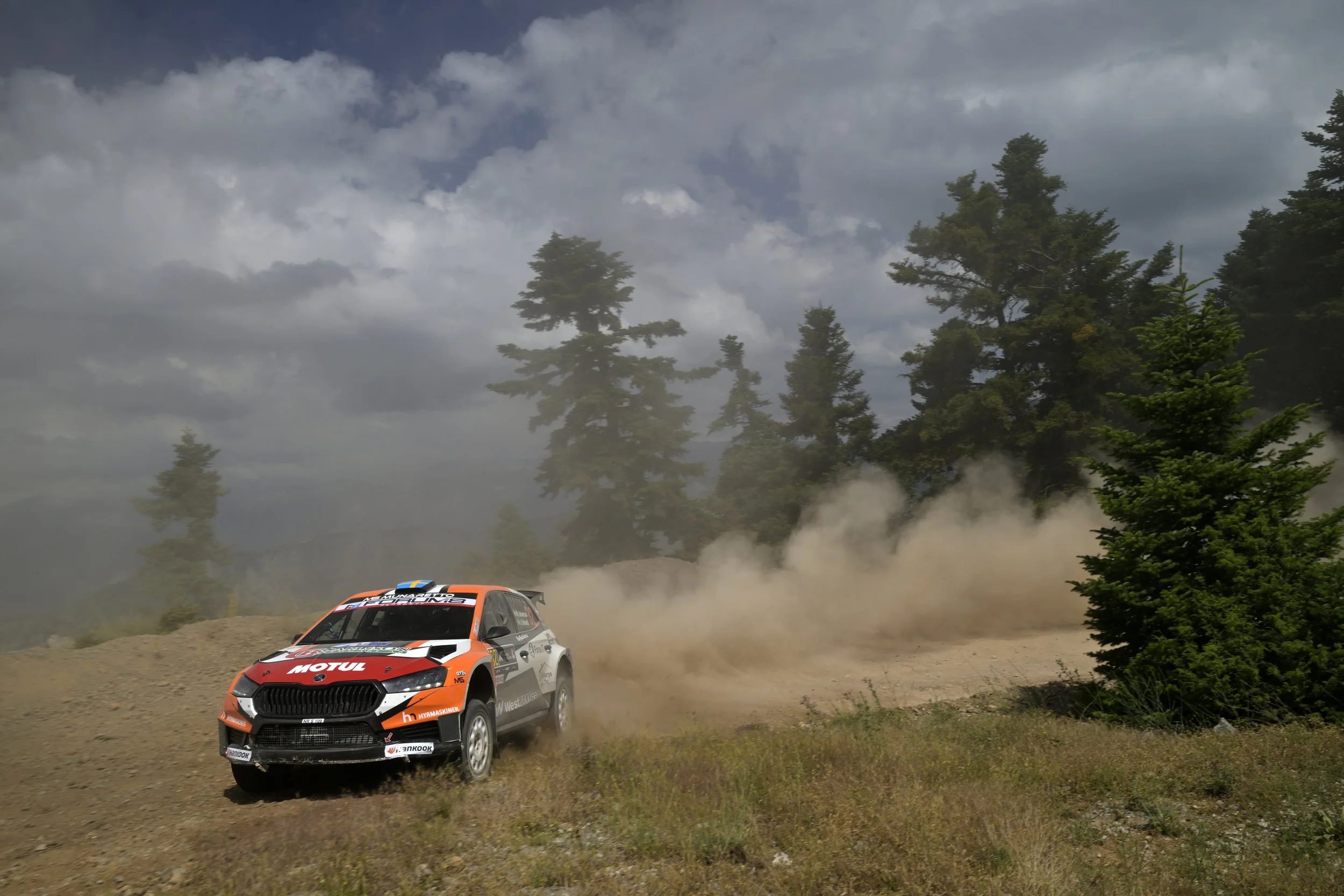 A rally car racing on a dirt road in a forest, kicking up dust with green trees and a cloudy sky in the background.