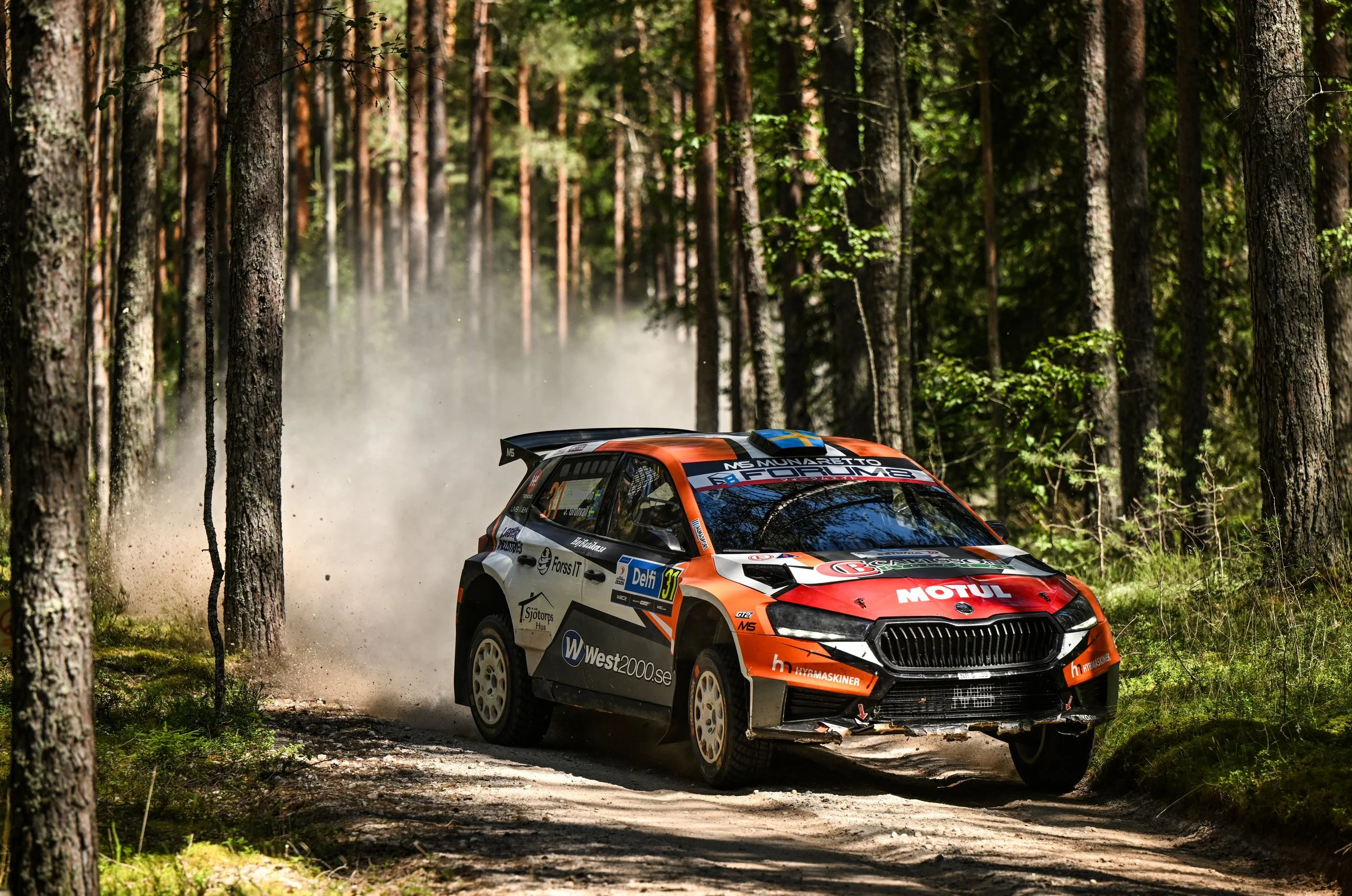 A rally car speeding through a forest dirt road with trees on both sides, kicking up dust as it navigates the trail.