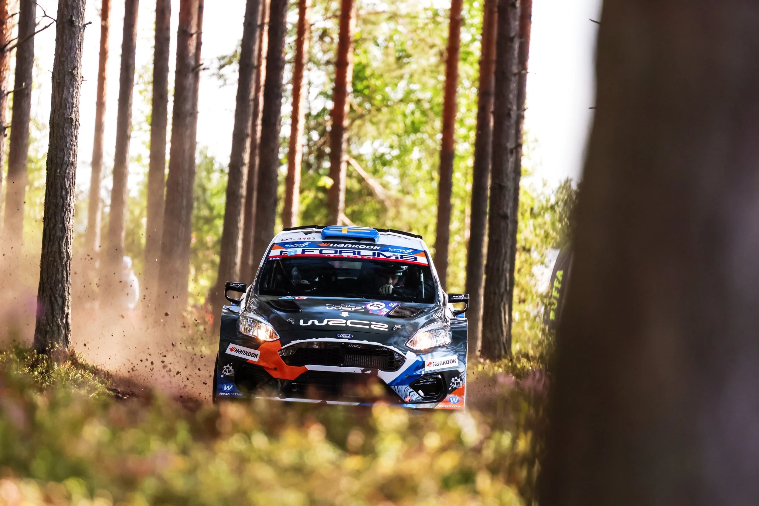 A black rally car speeding through a forested dirt road, kicking up dust, with tall trees lining the background.