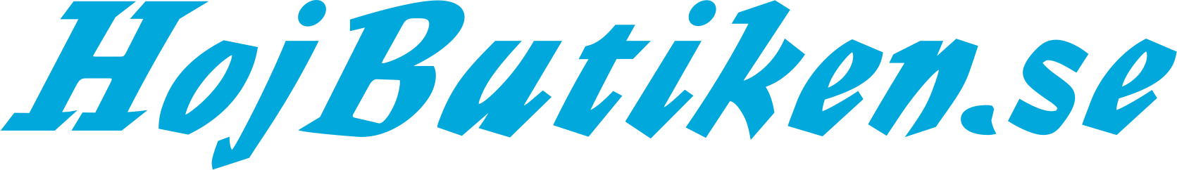Text logo displaying the website URL 'HoJaButiken.se' in stylized blue font.