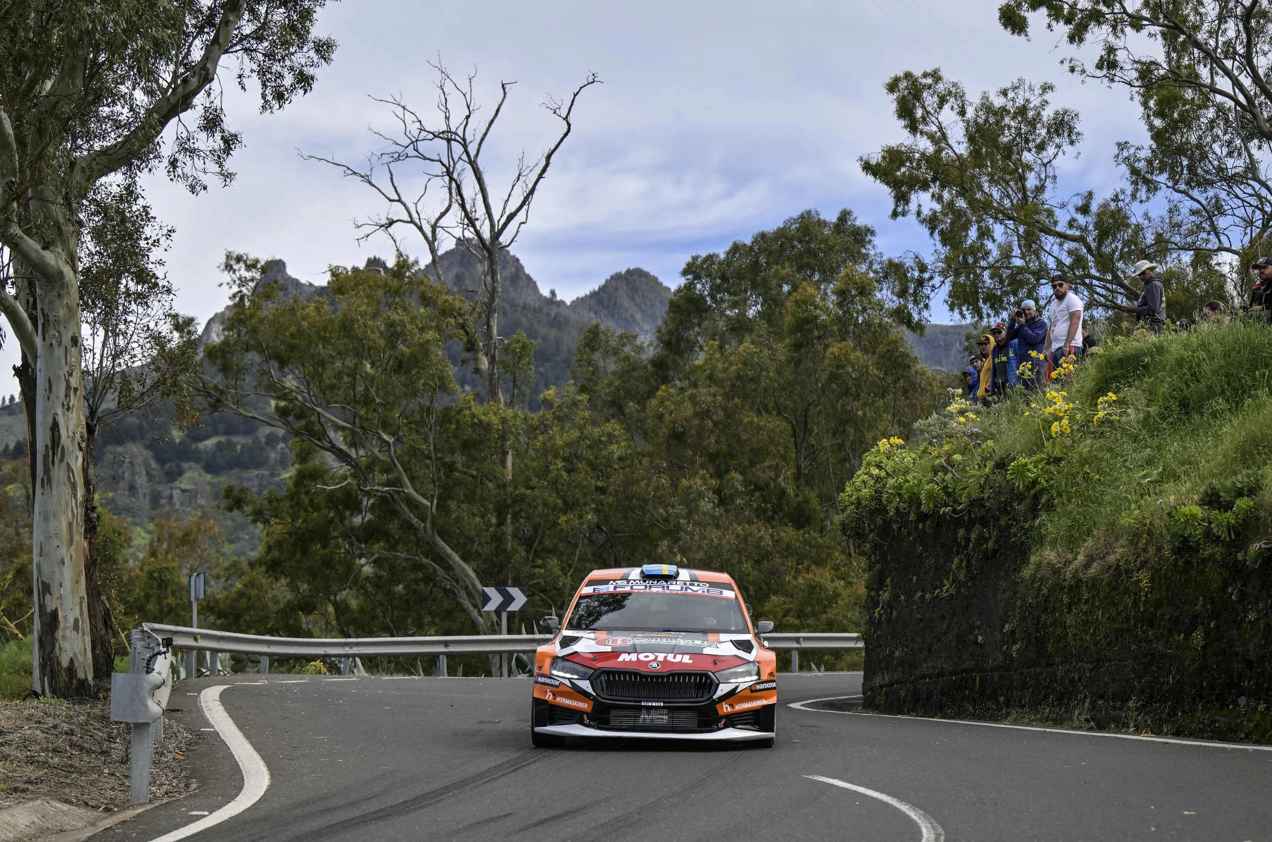Race car on a winding mountain road surrounded by trees and spectators on the roadside. Mountains in the background under a partly cloudy sky.