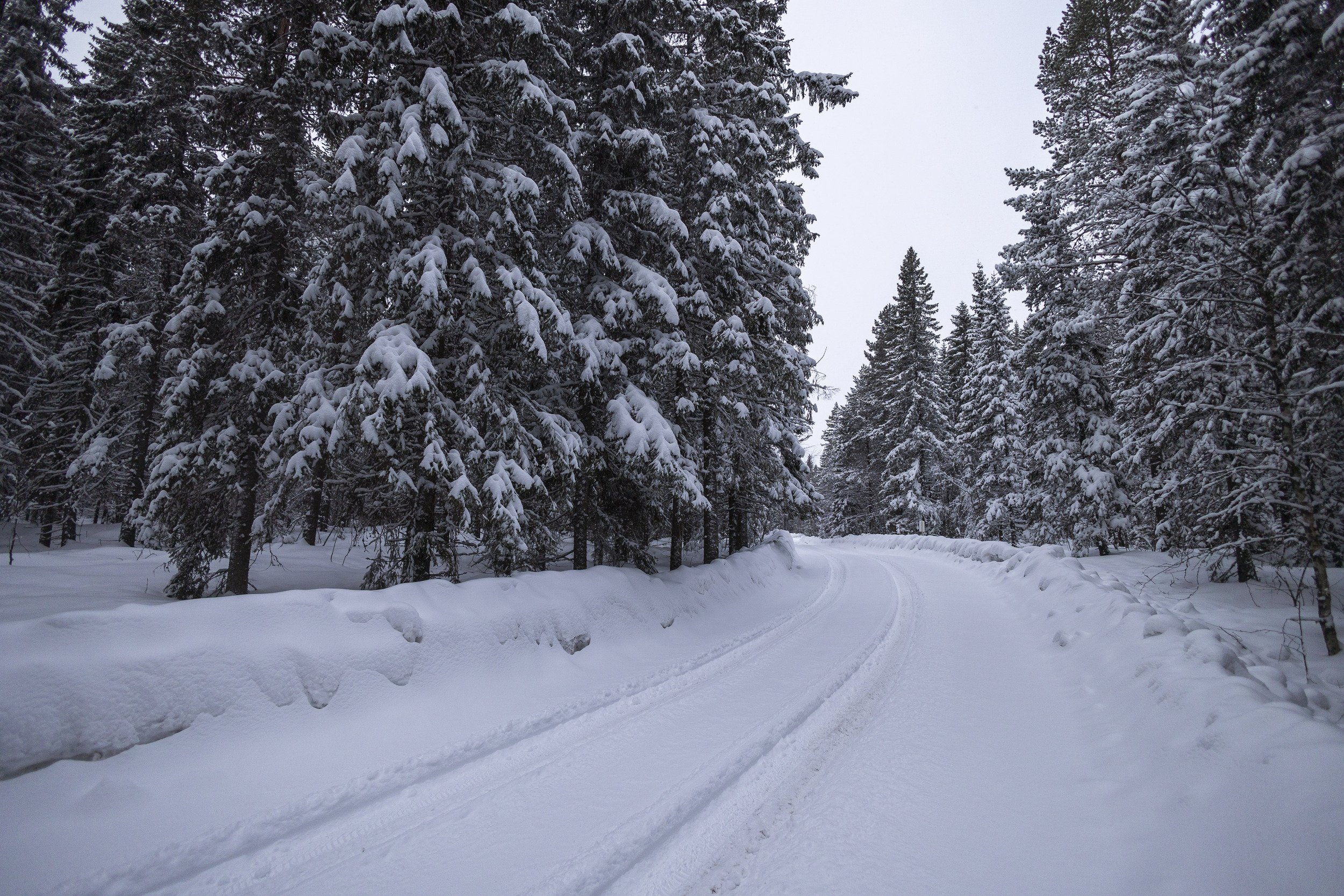 RPPA_2024_02_SWEDEN_014.jpg
