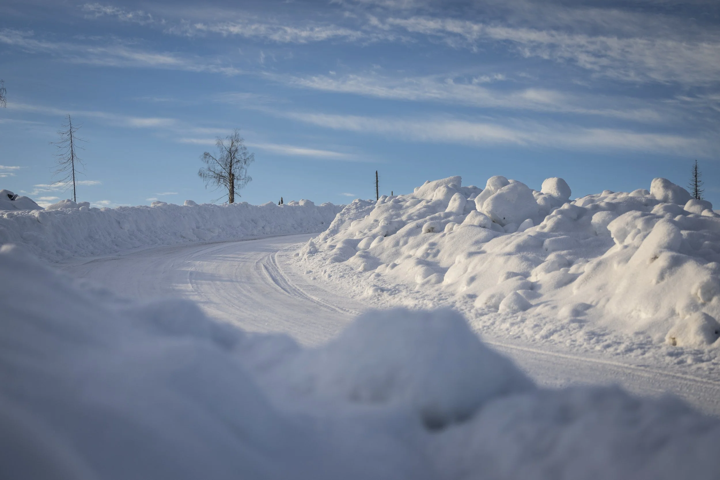 RPPA_2024_02_SWEDEN_008.jpg