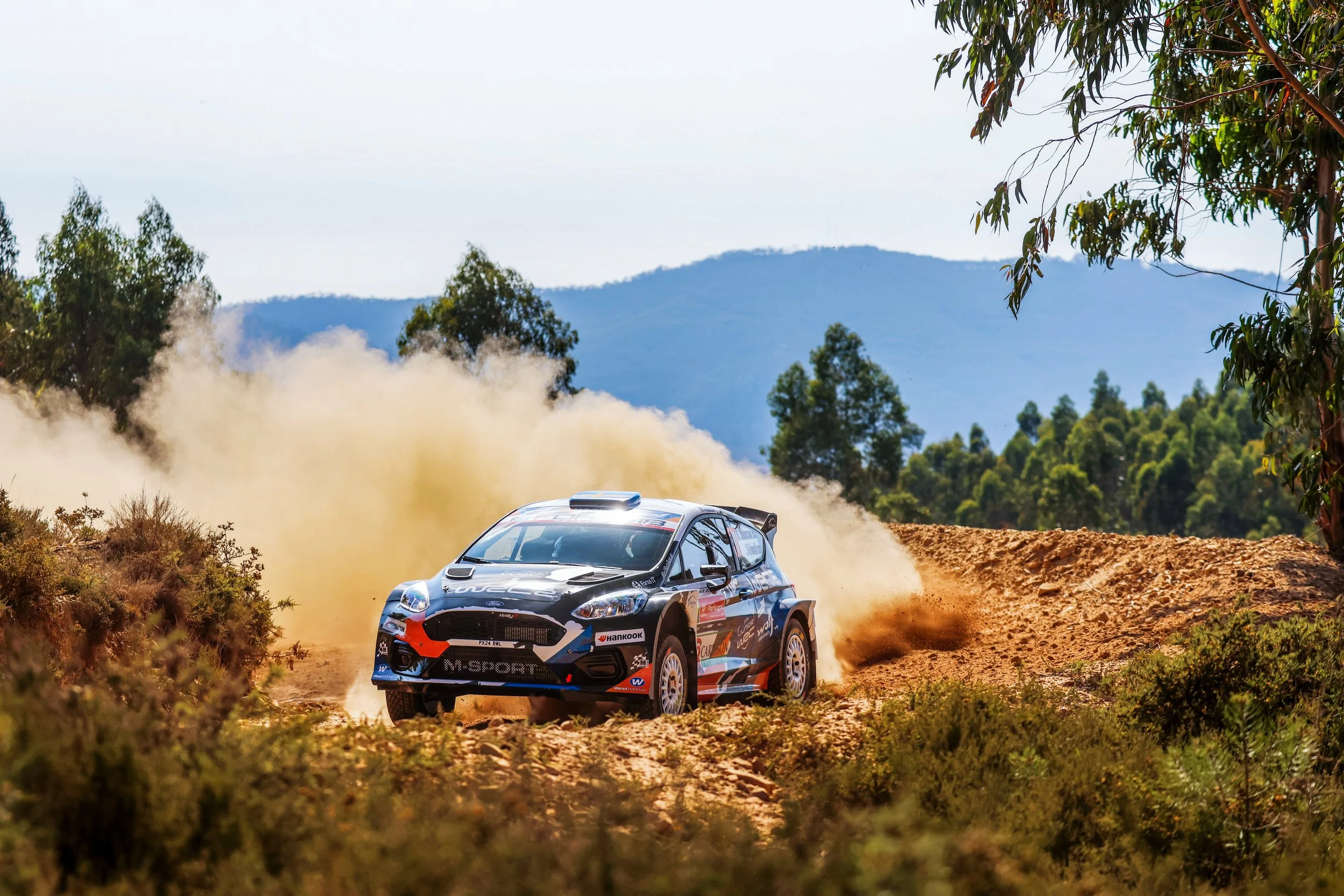 A rally car speeding on a dirt road in a forested landscape with mountains in the background, kicking up dust.