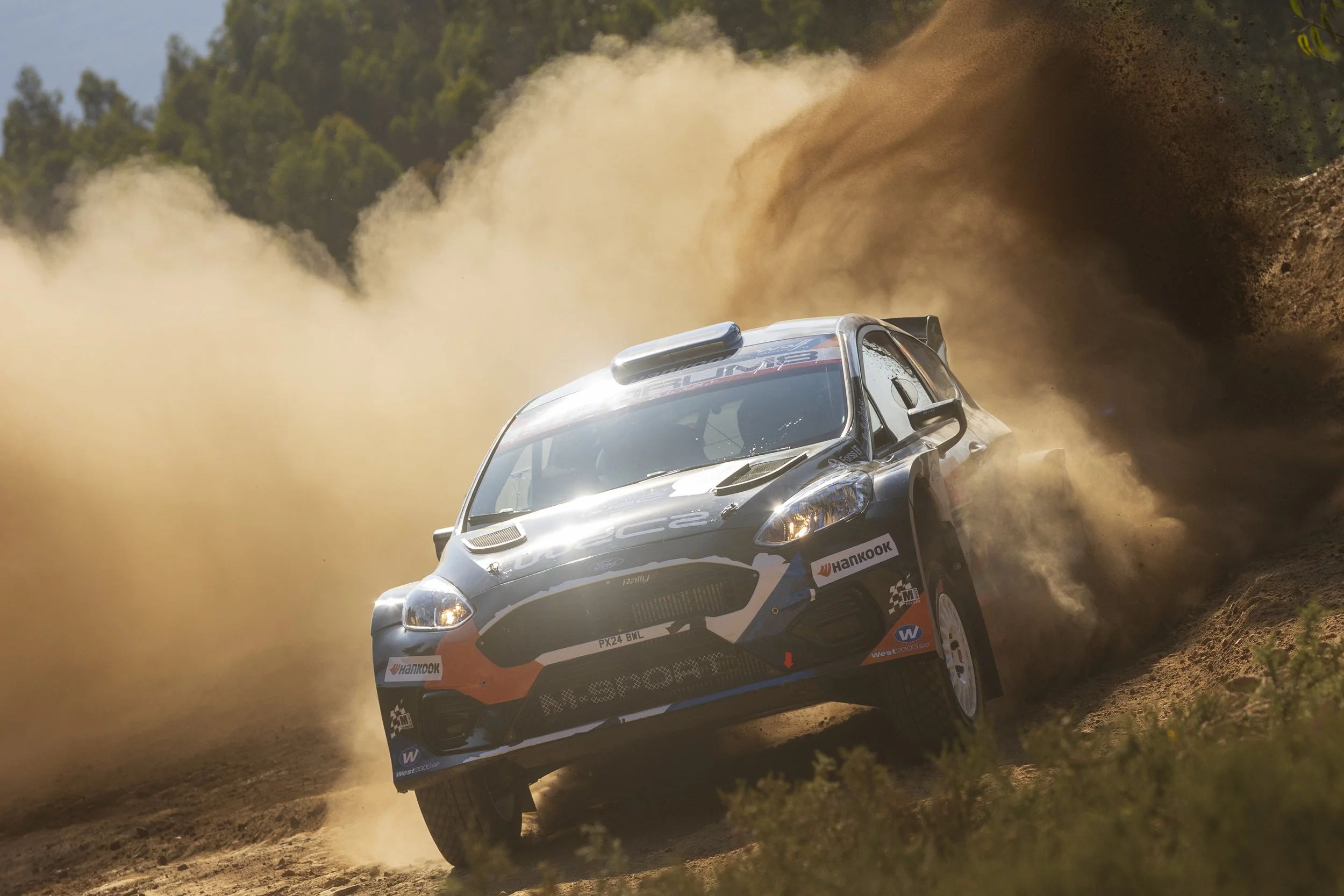 A rally car speeding on a dirt rally stage, kicking up dust and dirt as it navigates a turn, with a forested background.