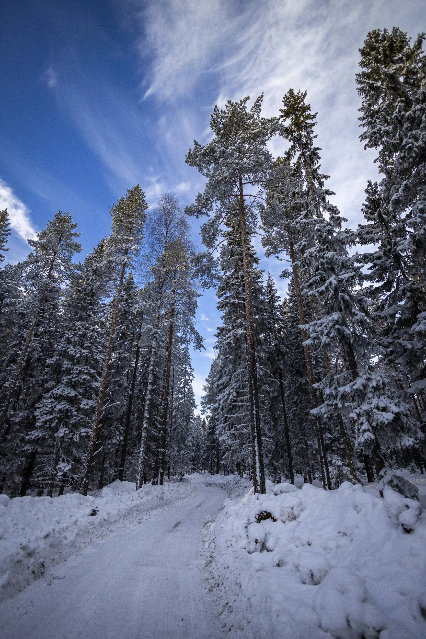 RPPA_2024_02_SWEDEN_001.jpg