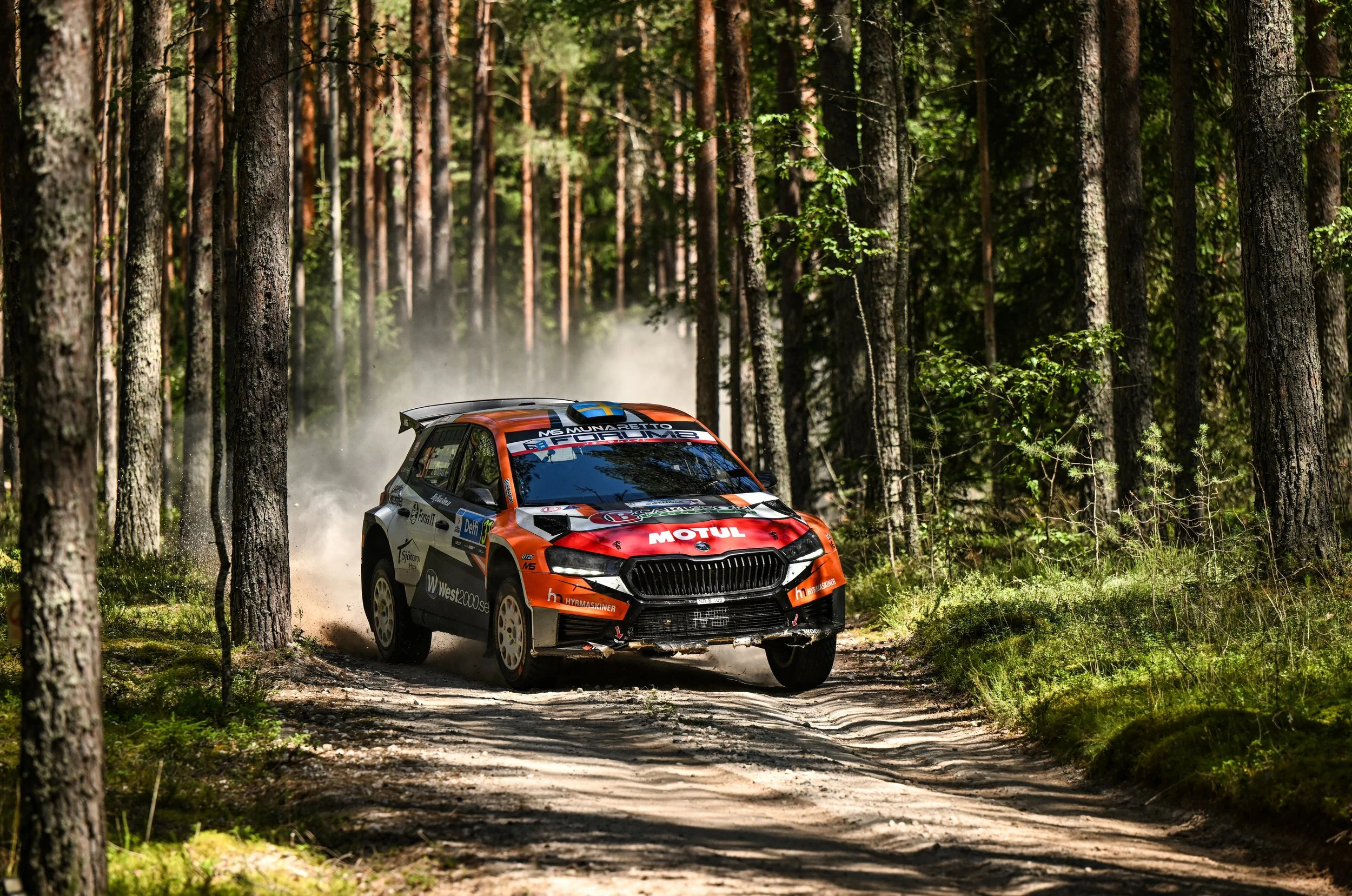 A rally car racing through a dirt forest trail, kicking up dust and surrounded by tall pine trees.