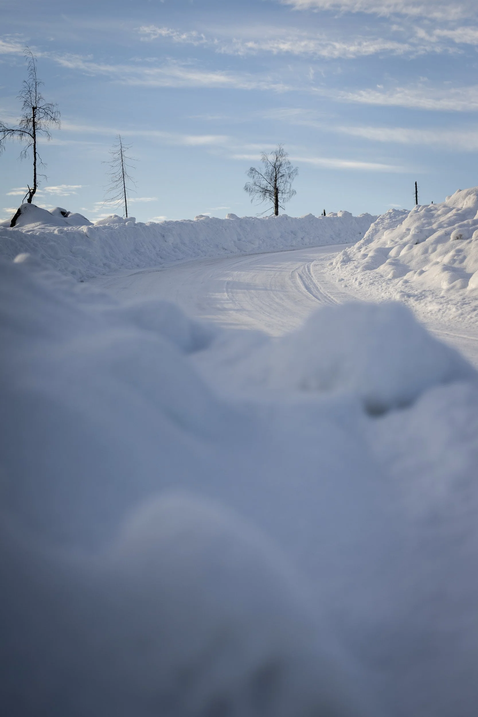 RPPA_2024_02_SWEDEN_009.jpg