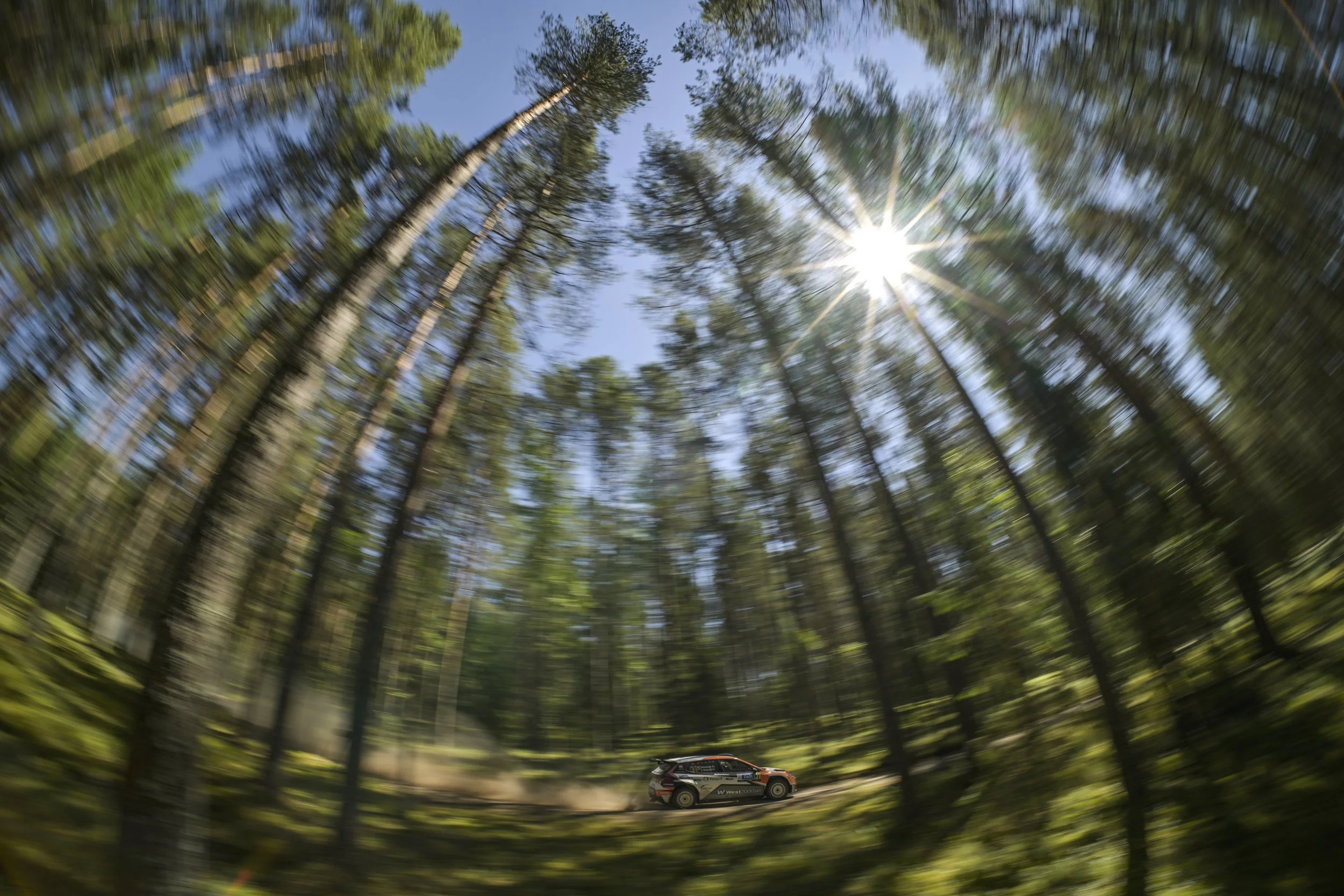 Rally car driving on a forest road with tall trees and sunlight shining through, with motion blur effects.