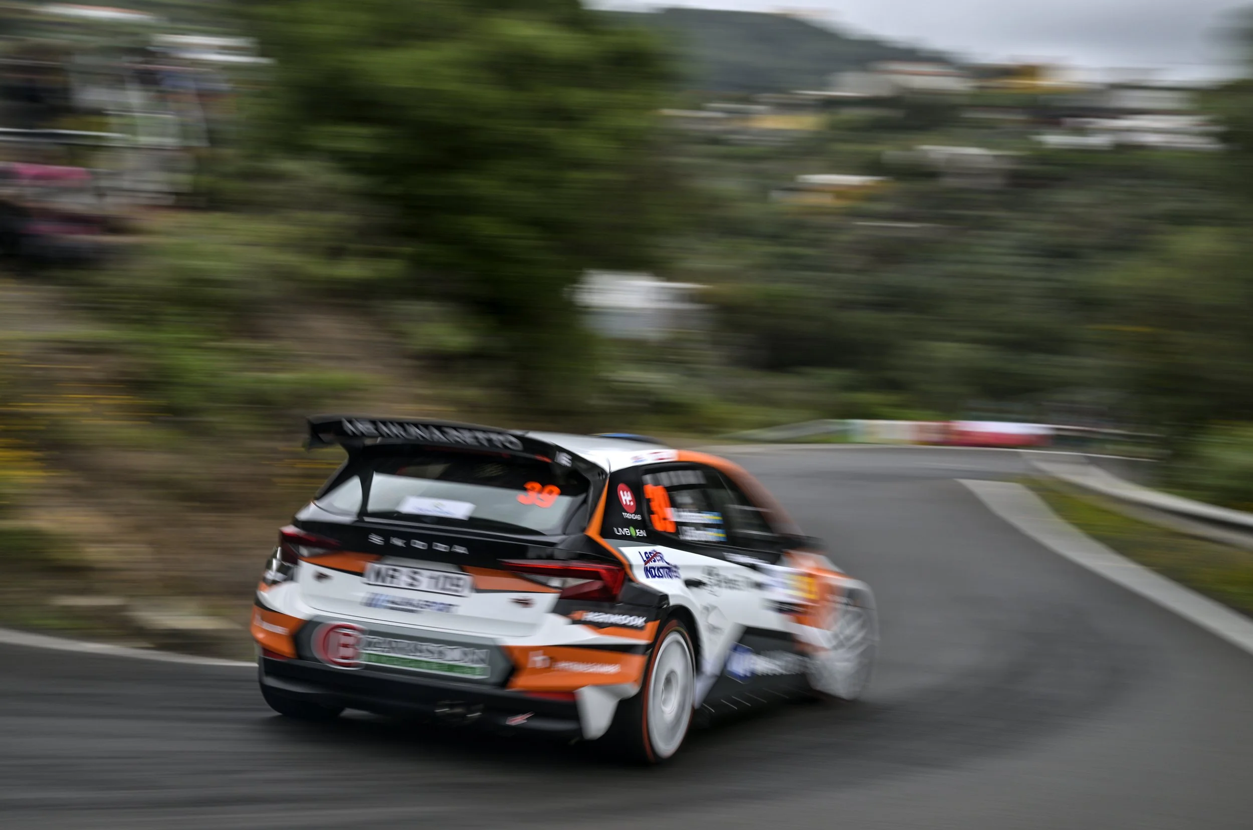 A rally car racing on a curvy mountain road with trees and blurred background, indicating high speed.