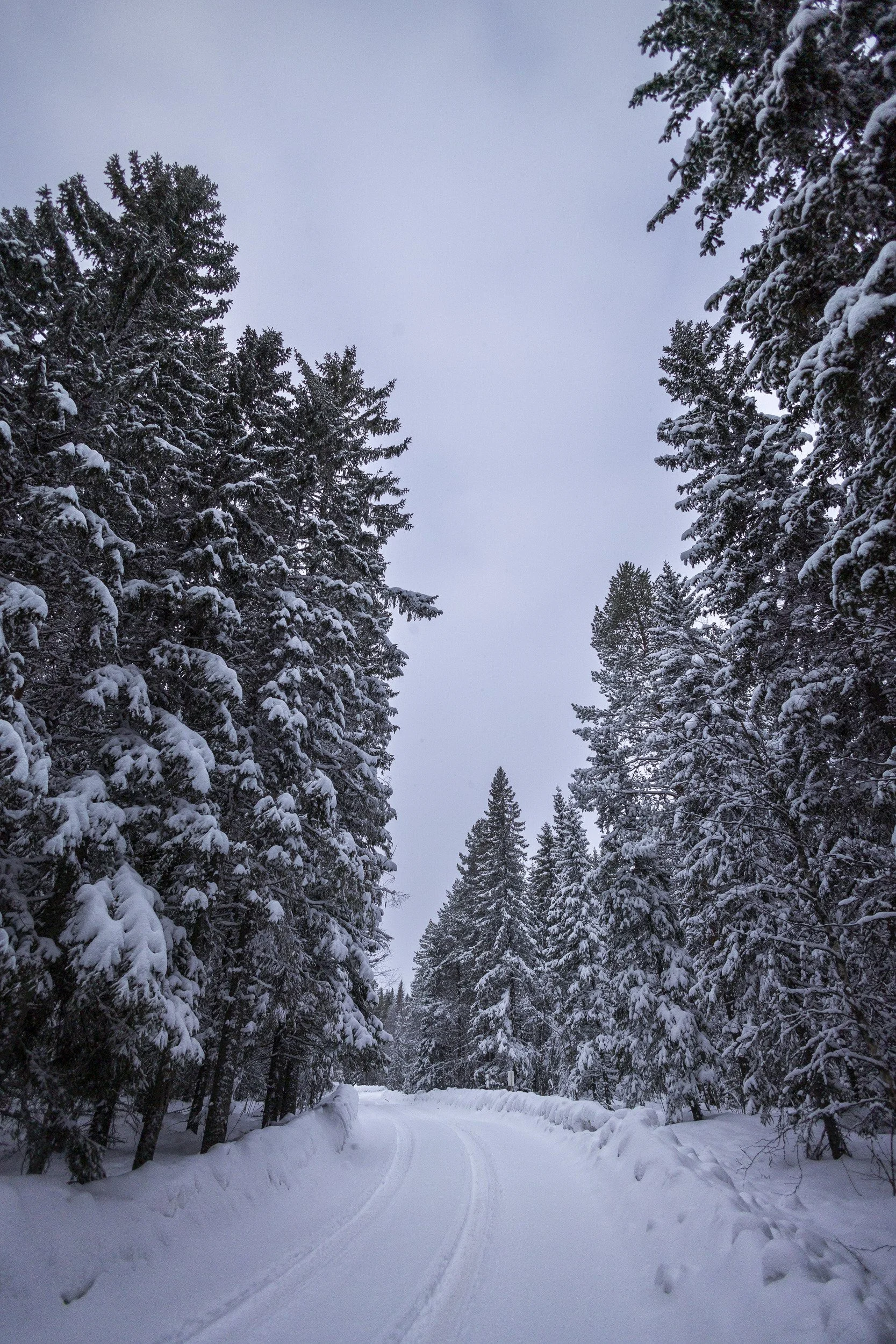 RPPA_2024_02_SWEDEN_016.jpg