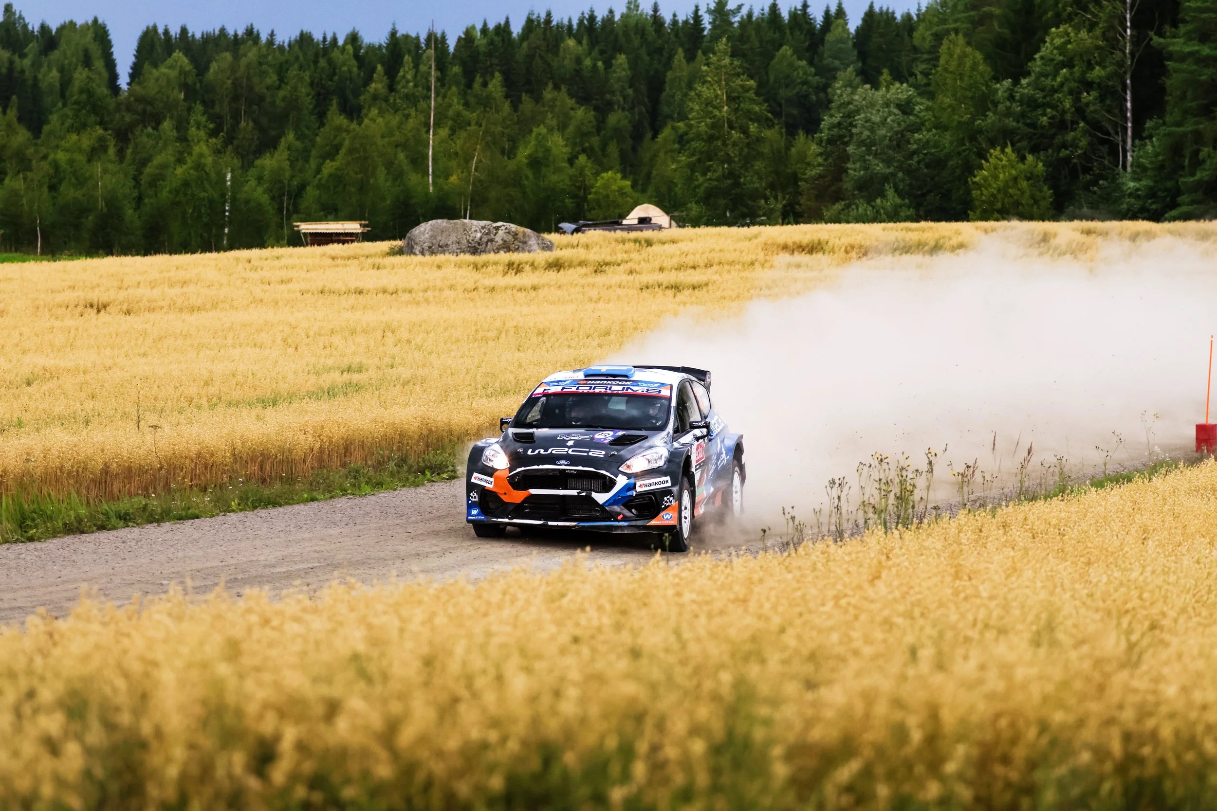 A rally car racing on a dirt road through a field of yellow crops, kicking up dust behind it, with a forested hillside in the background.