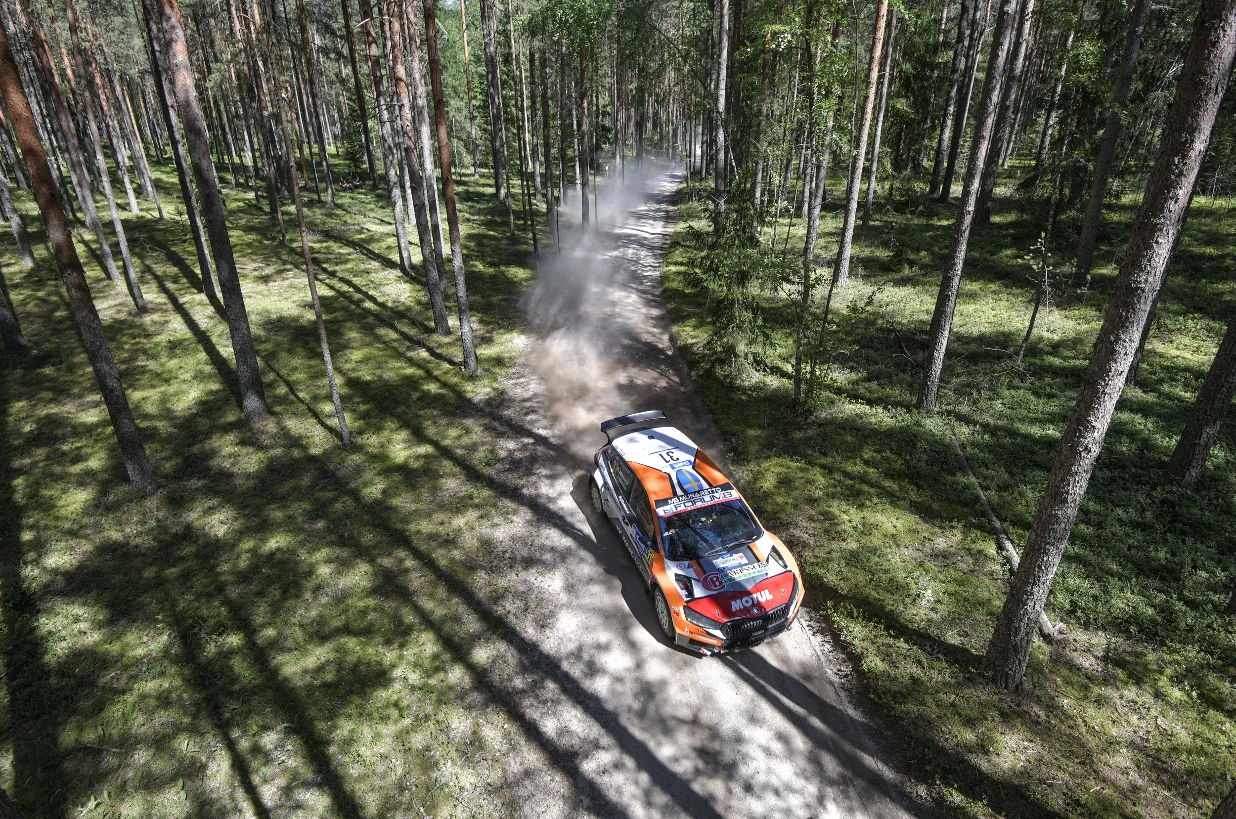 A rally car speeding on a dirt trail through a dense forest with tall trees and green foliage, dust rising behind the vehicle.