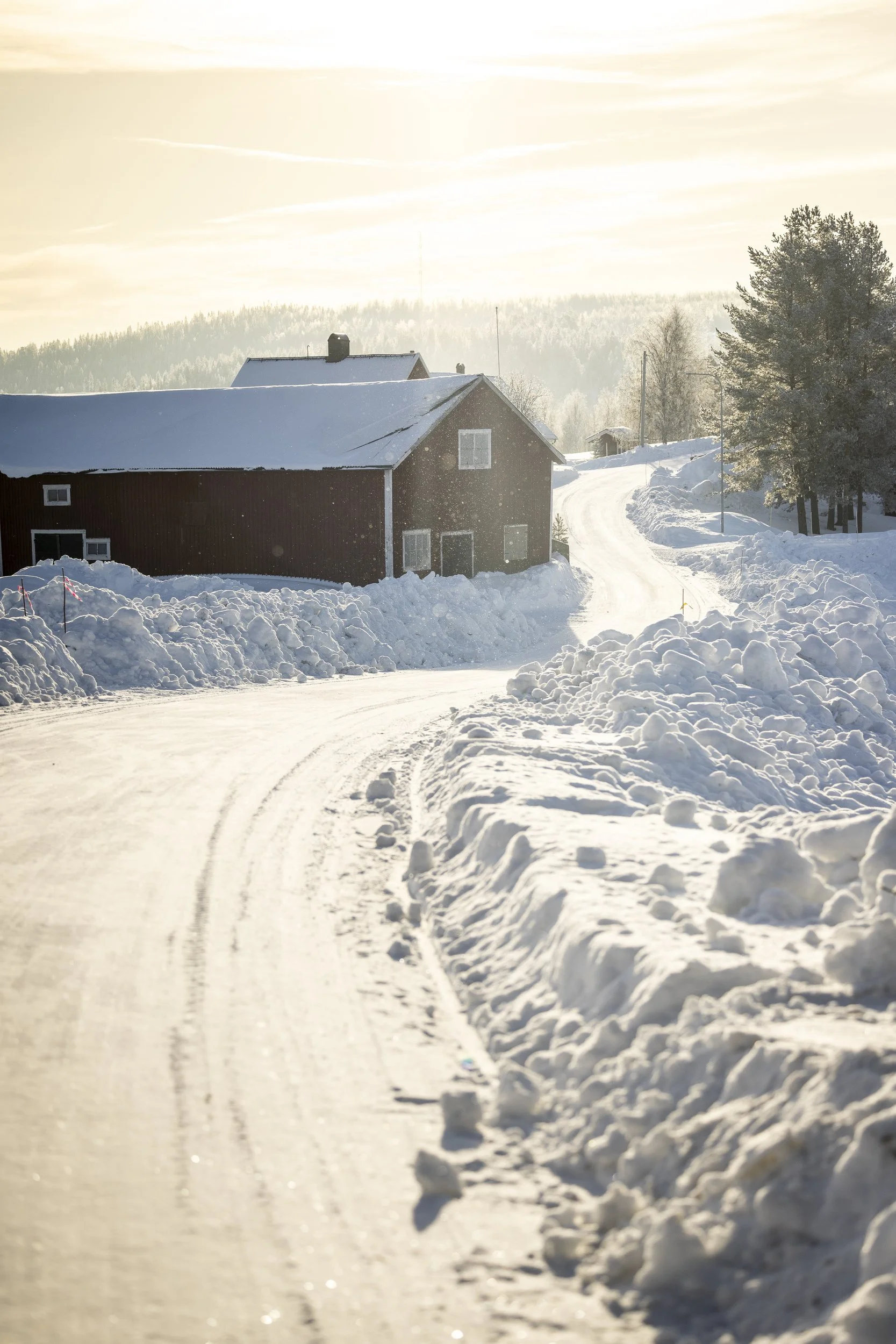 RPPA_2024_02_SWEDEN_004.jpg