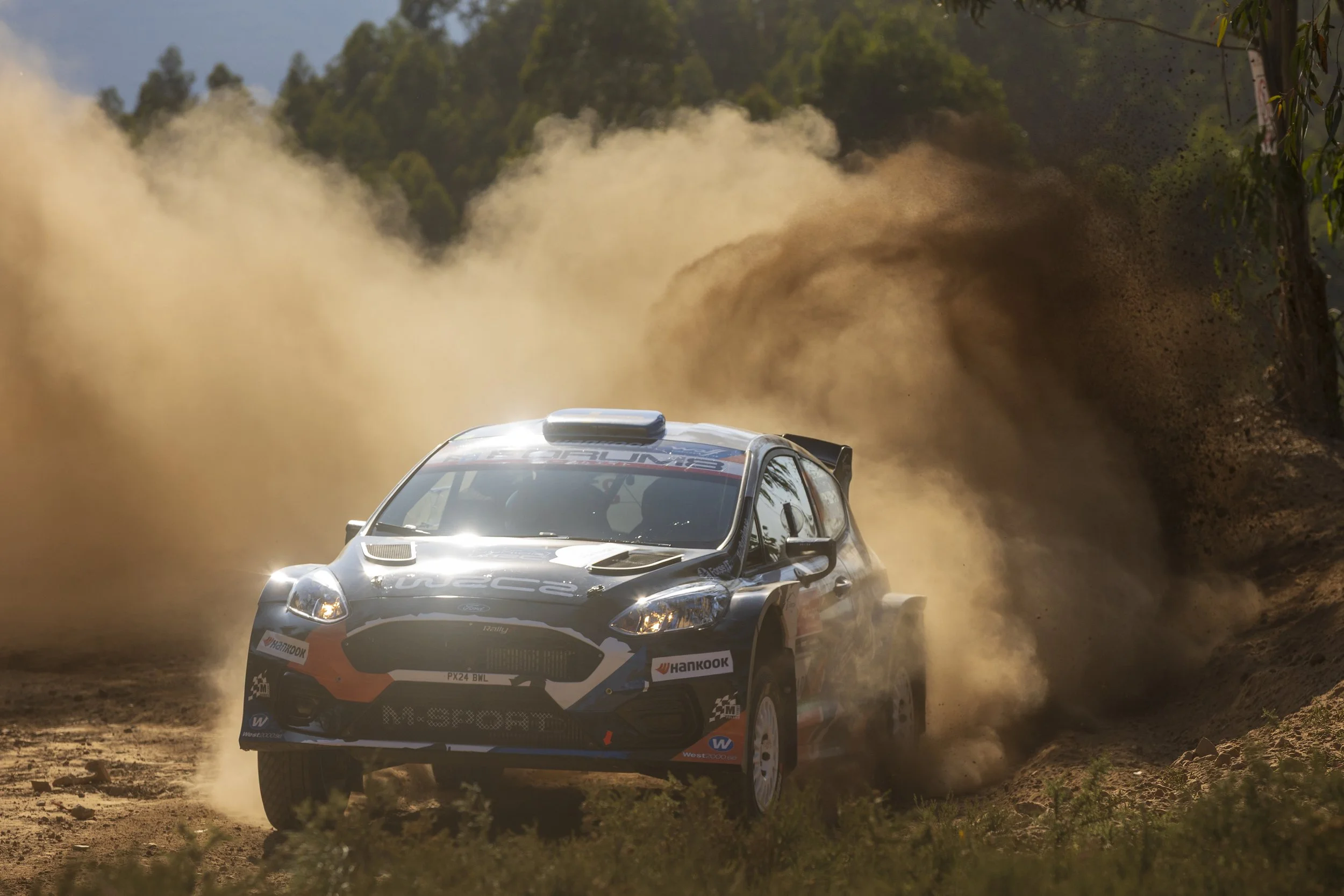 A rally car speeding on a dirt track, kicking up dust, with a background of trees and forest.