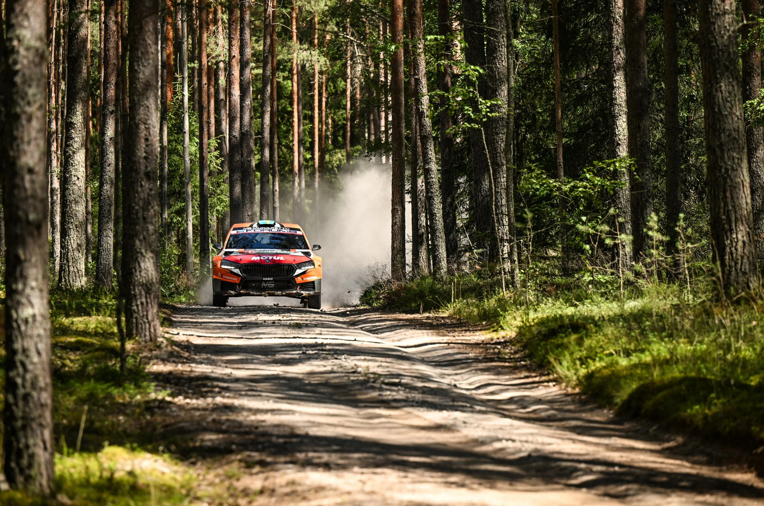 A rally car driving on a forest dirt road, kicking up dust, surrounded by tall trees with green foliage.