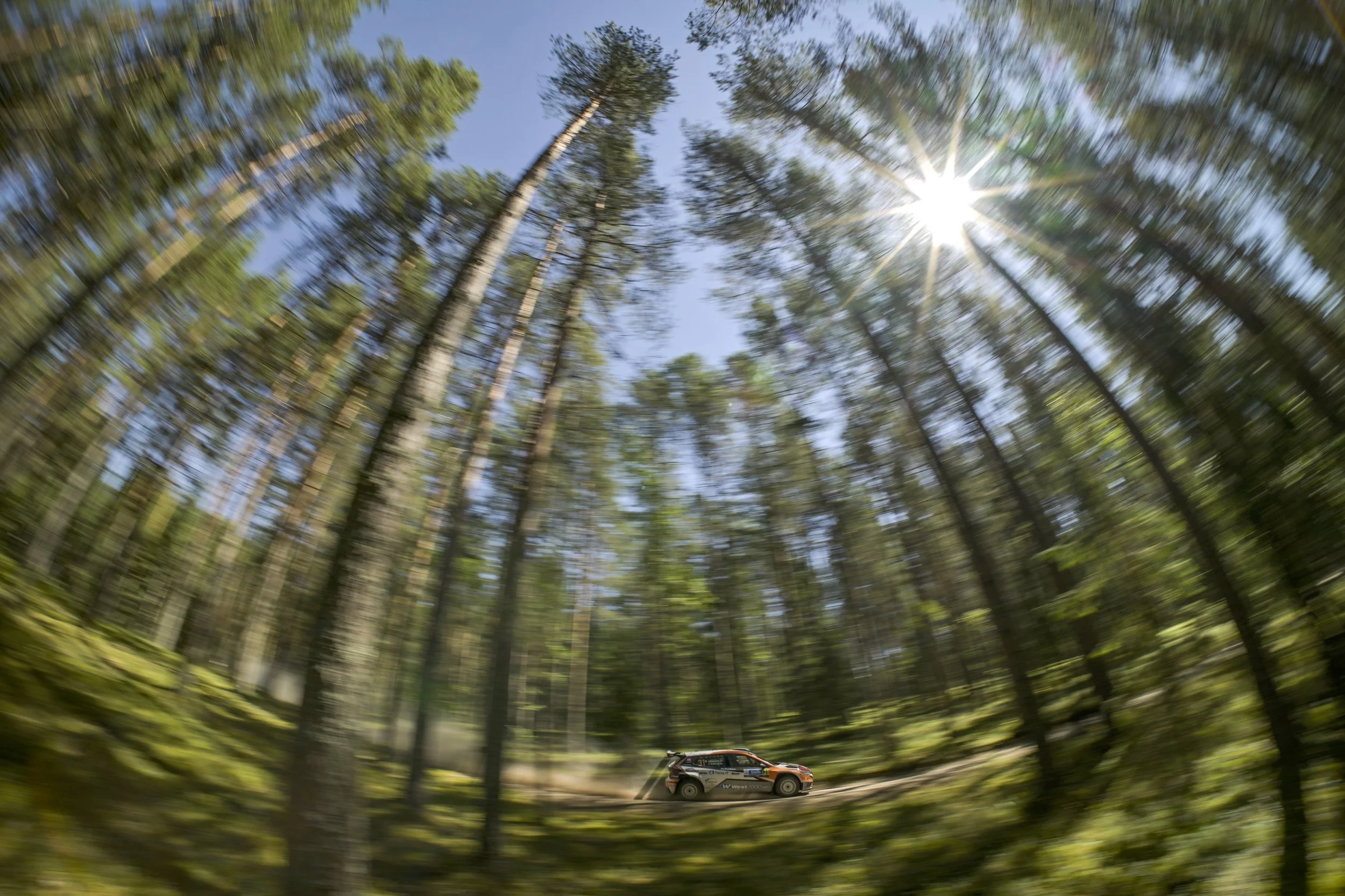 A rally car speeding through a forest with tall trees and sunlight streaming through the branches, creating a blurred motion effect.