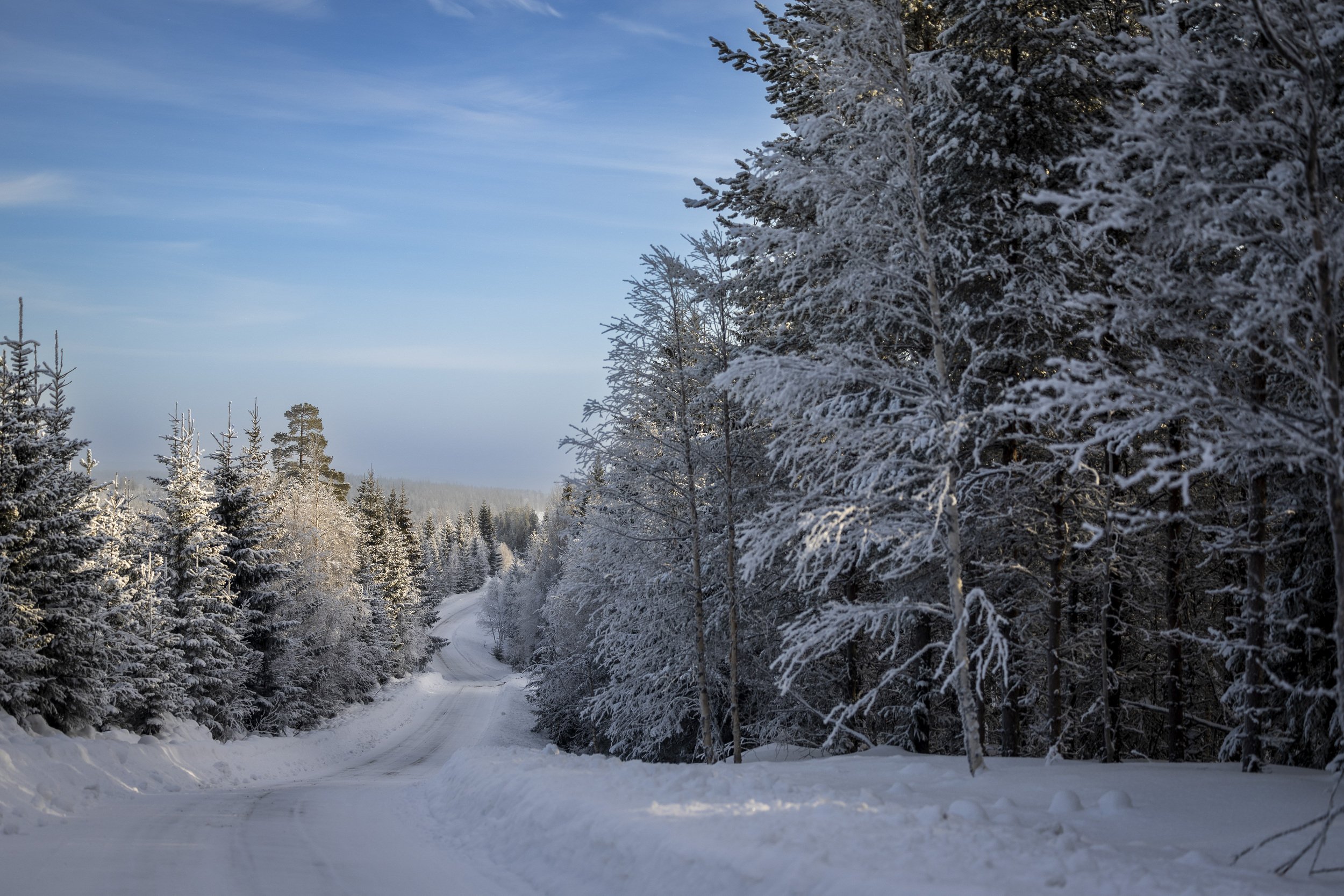 RPPA_2024_02_SWEDEN_012.jpg