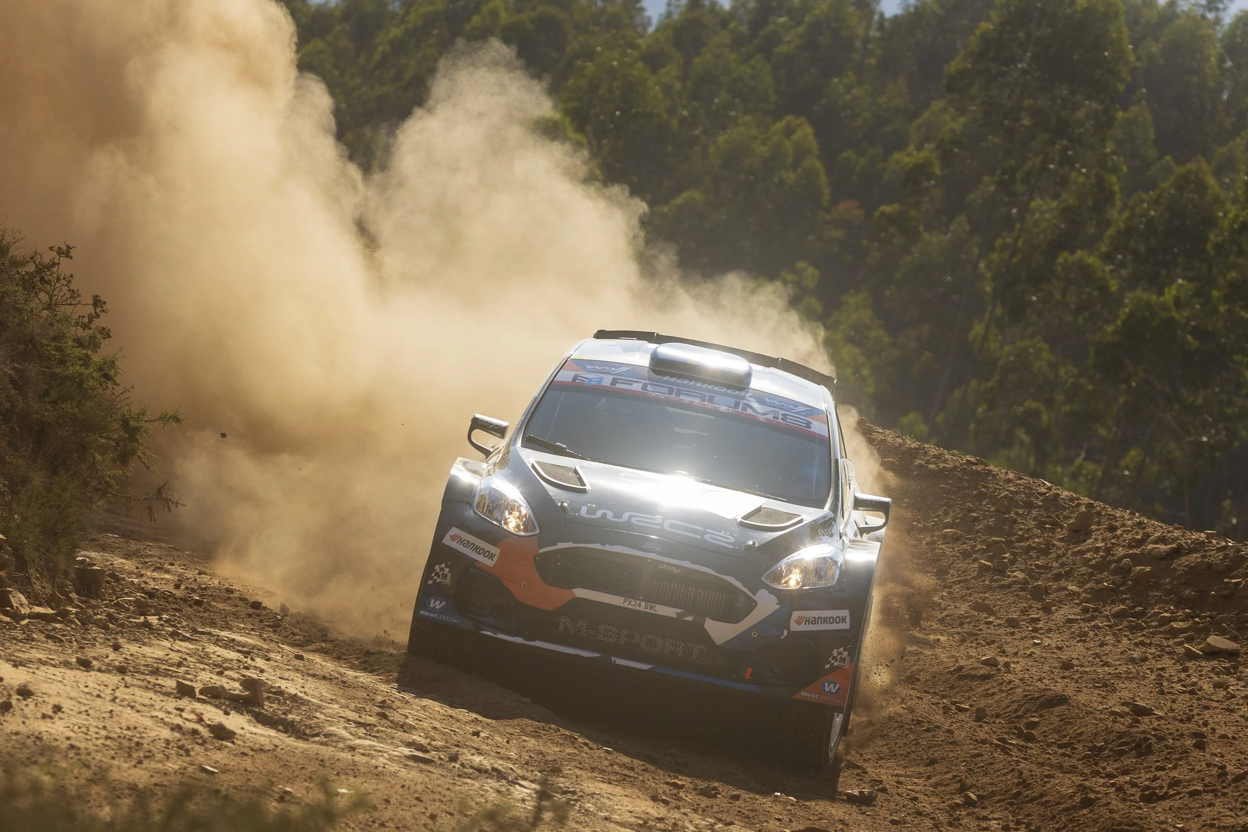 A rally car speeding on a dirt trail, kicking up dust in a wooded area during a race.