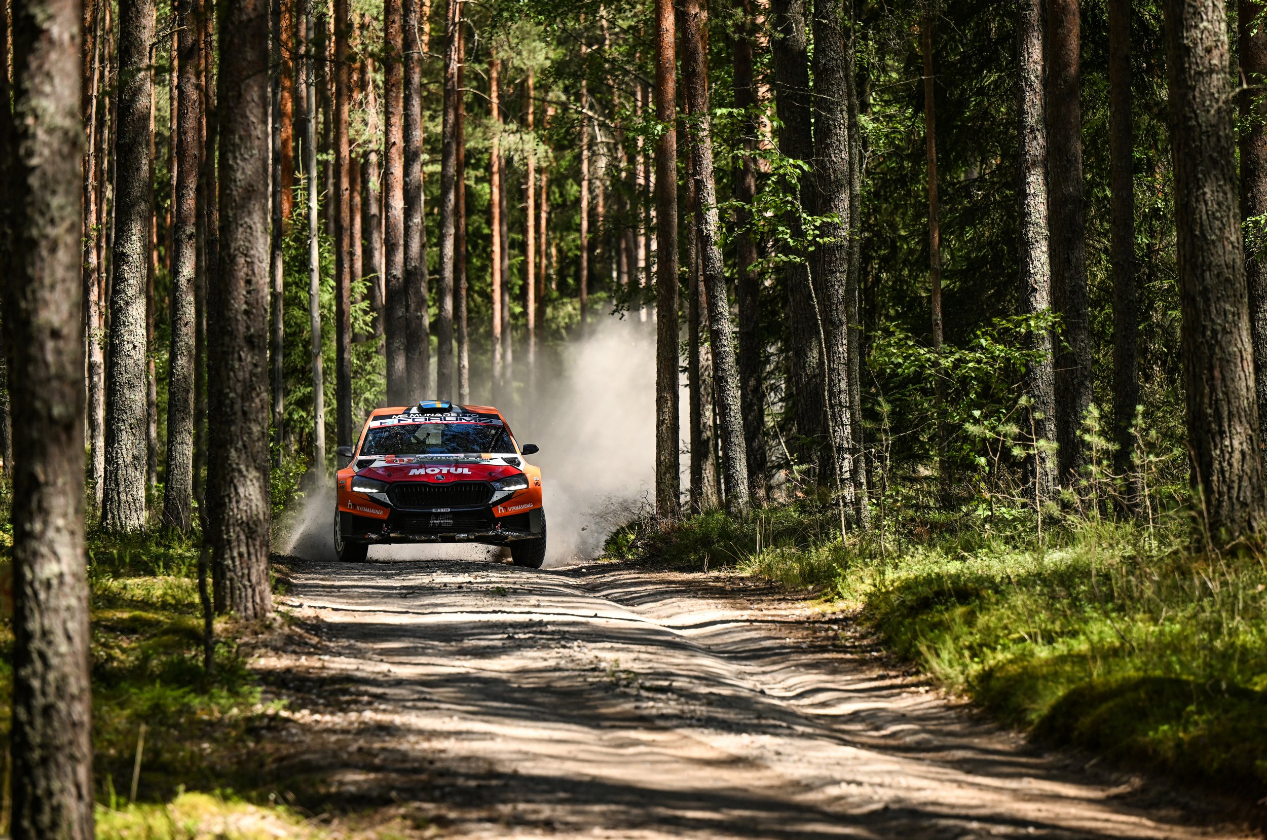 A rally car driving through a forested dirt road, kicking up dust among tall trees with green foliage.