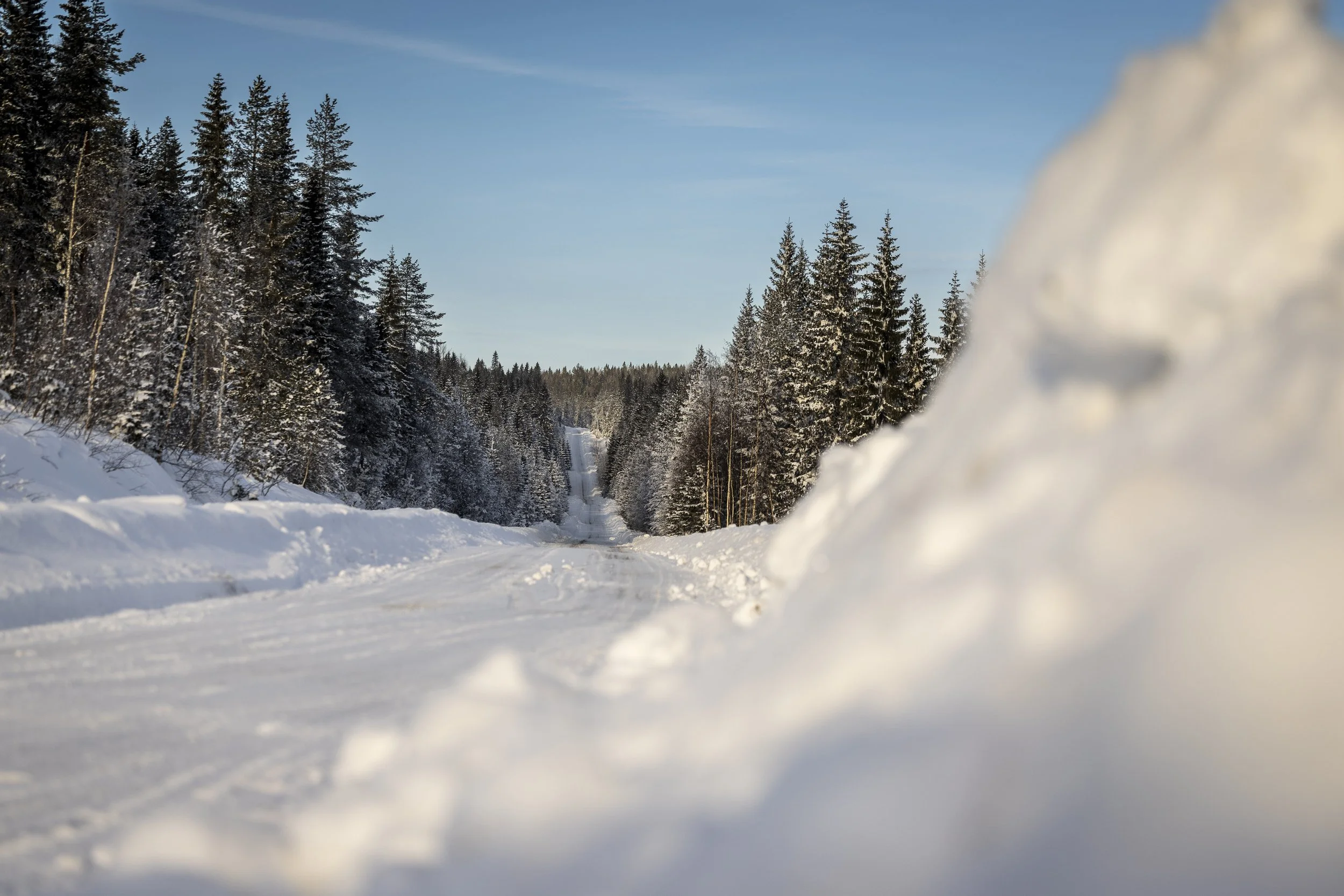 RPPA_2024_02_SWEDEN_010.jpg