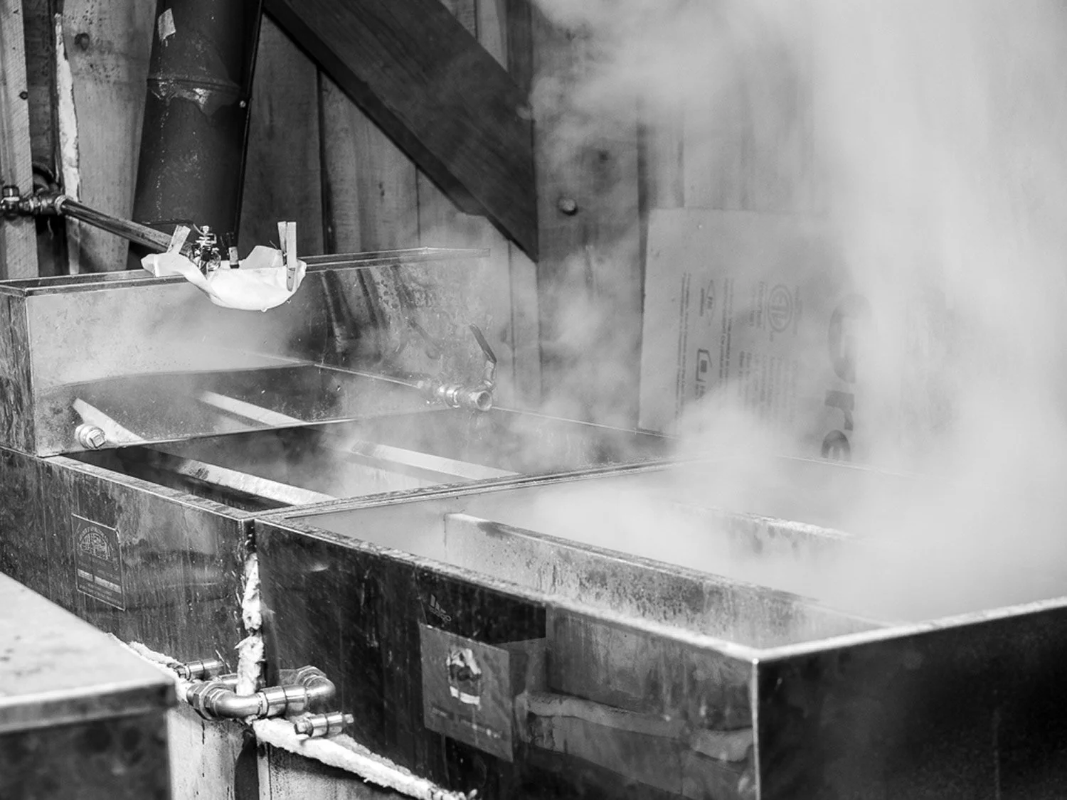 a maple syrup evaporator steaming