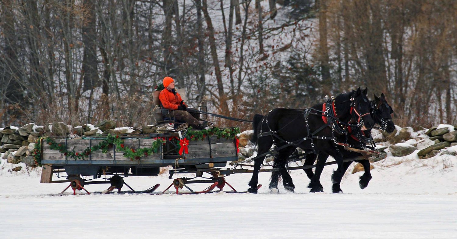 A person in orange winter clothing rides a horse-drawn sleigh decorated with Christmas greenery and red bows through a snowy landscape with bare trees in the background.