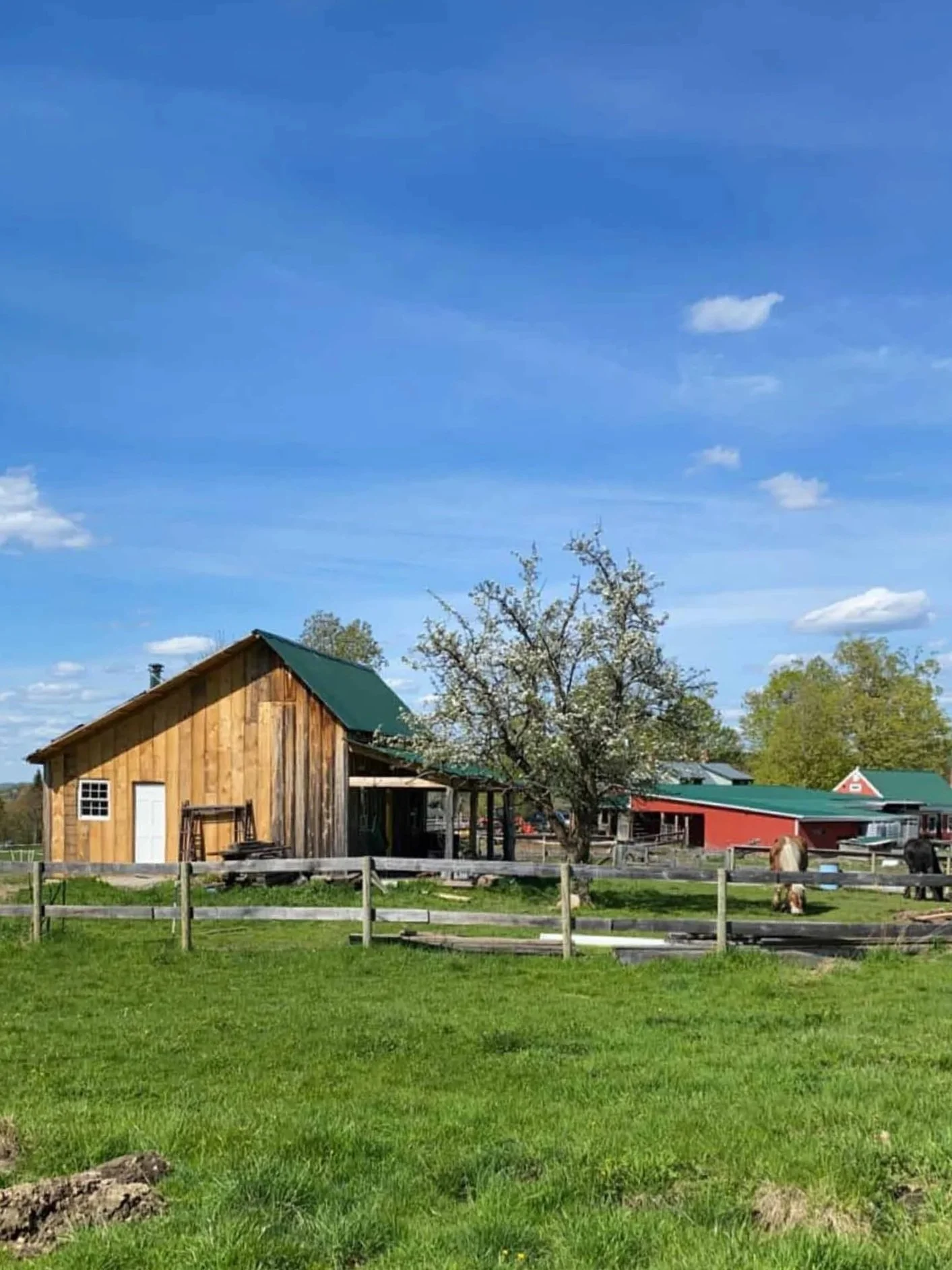 A rural farm scene with a wooden farm stand, trees, and a fenced grassy area under a blue sky with some clouds.