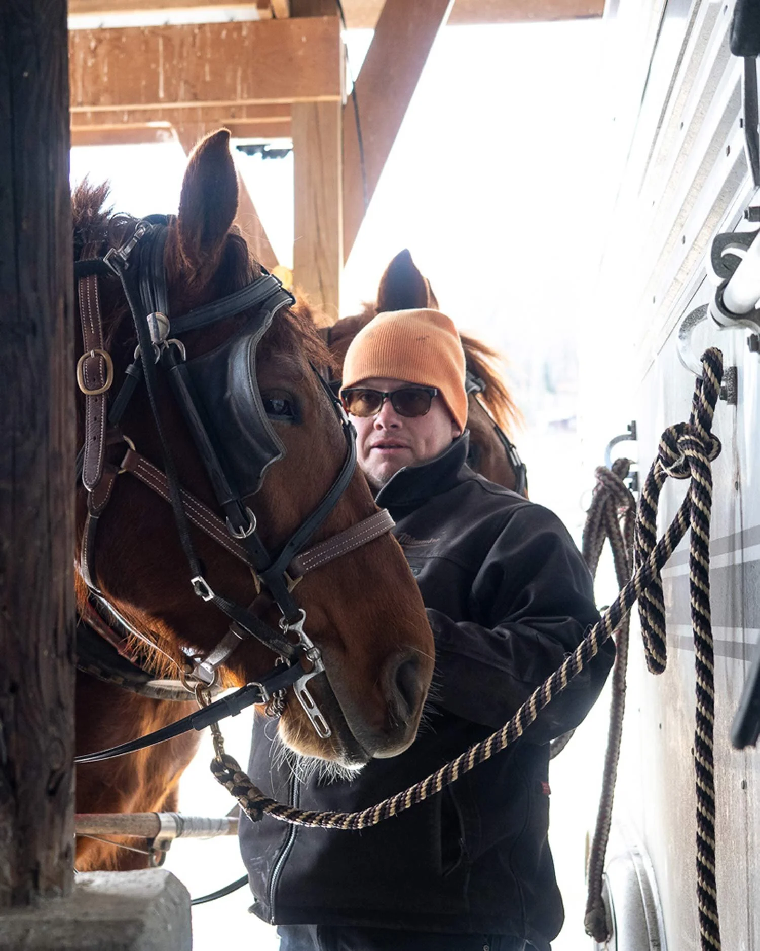 A man wearing sunglasses, an orange hat, and a black jacket standing with a brown horse inside a stable.