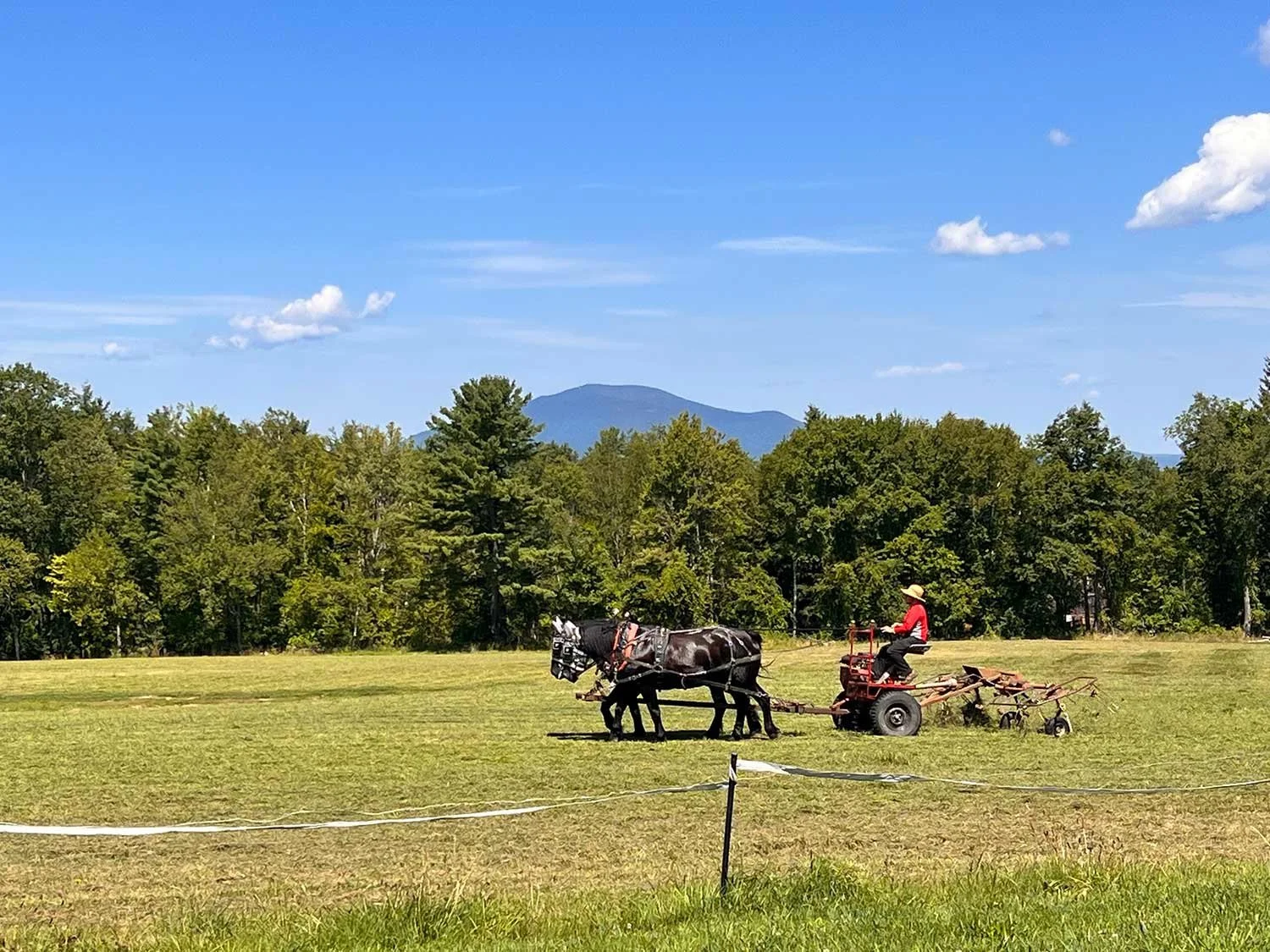 A person wearing a wide-brimmed hat and red shirt riding a tractor in a large grassy field, with a horse hitched to the tractor, set against a background of trees, mountains, and a blue sky with scattered clouds.