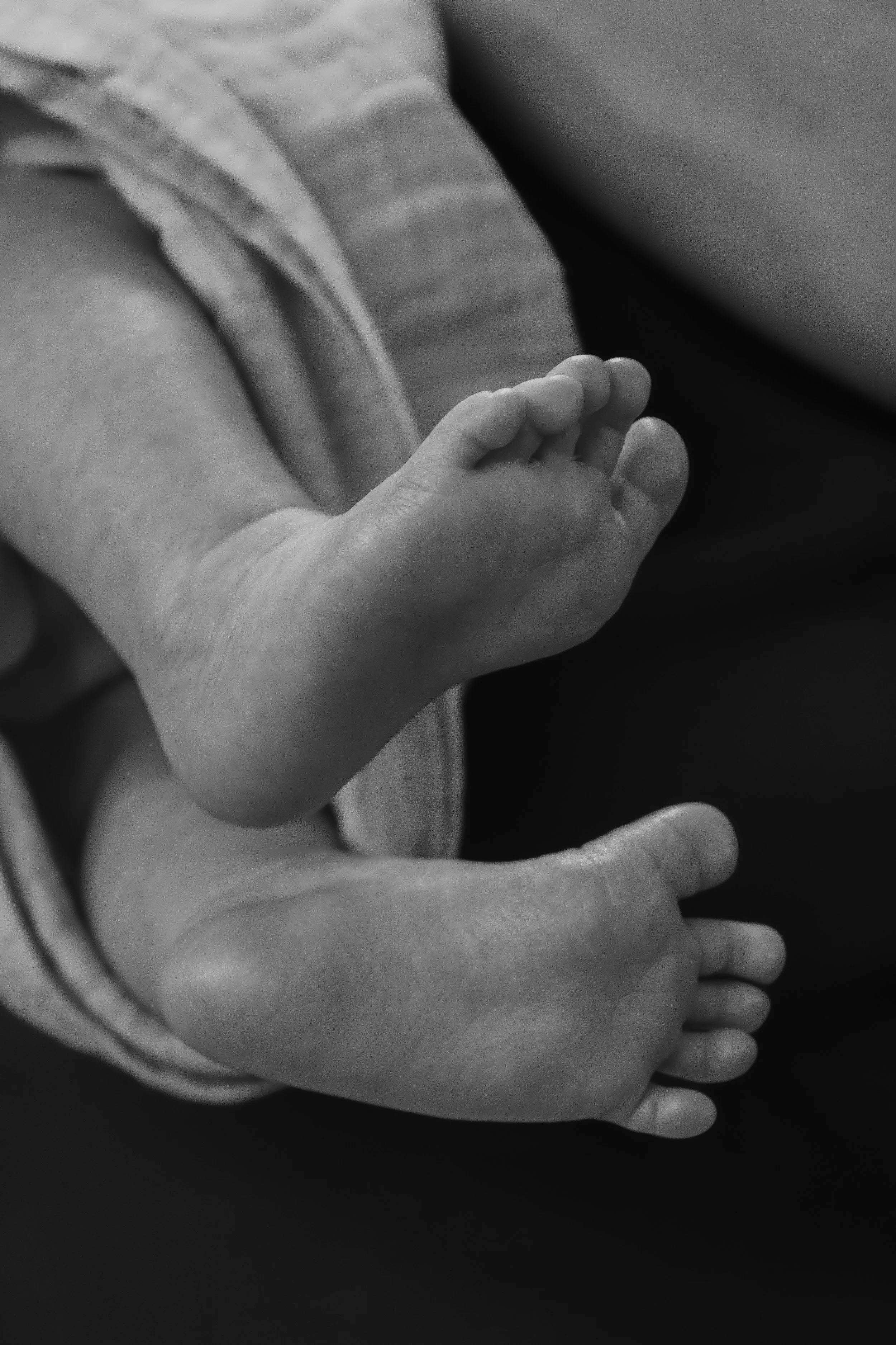 Close-up of a child's hand being held by an adult's hand, in black and white.