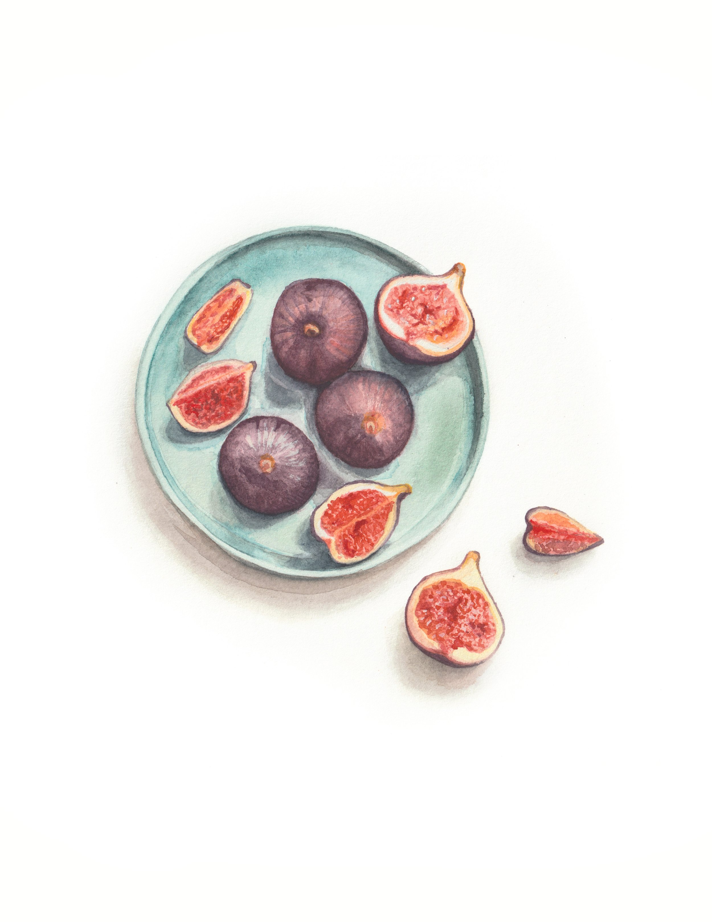 Figs_Letter.jpg
