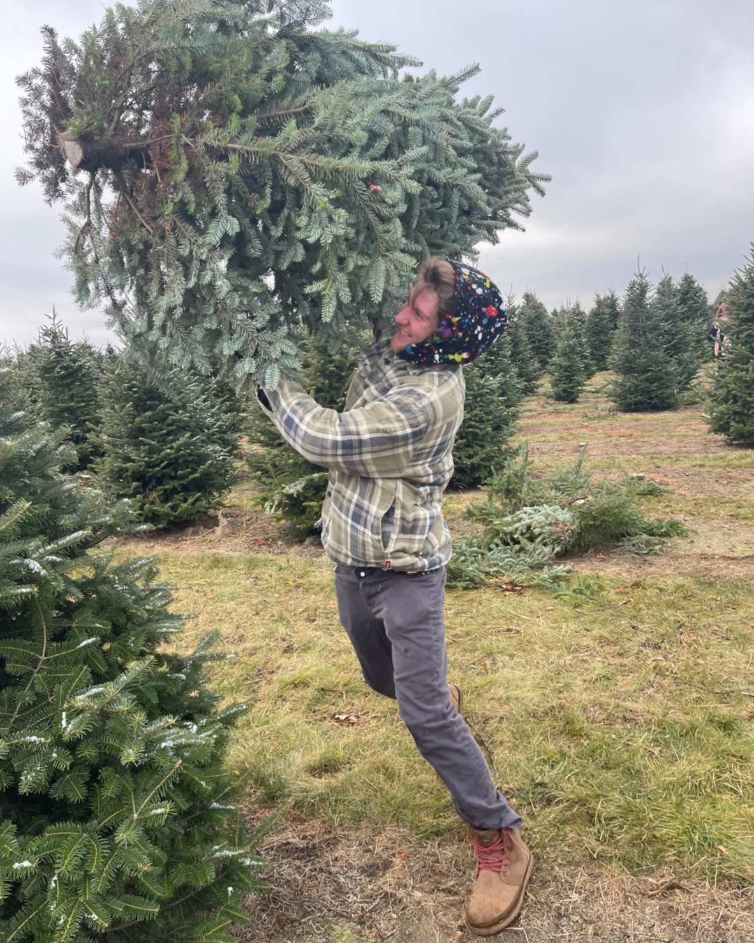 A person in a plaid jacket and a colorful hood is lifting and smiling at a Christmas tree in a tree farm, with others trees around under cloudy sky.