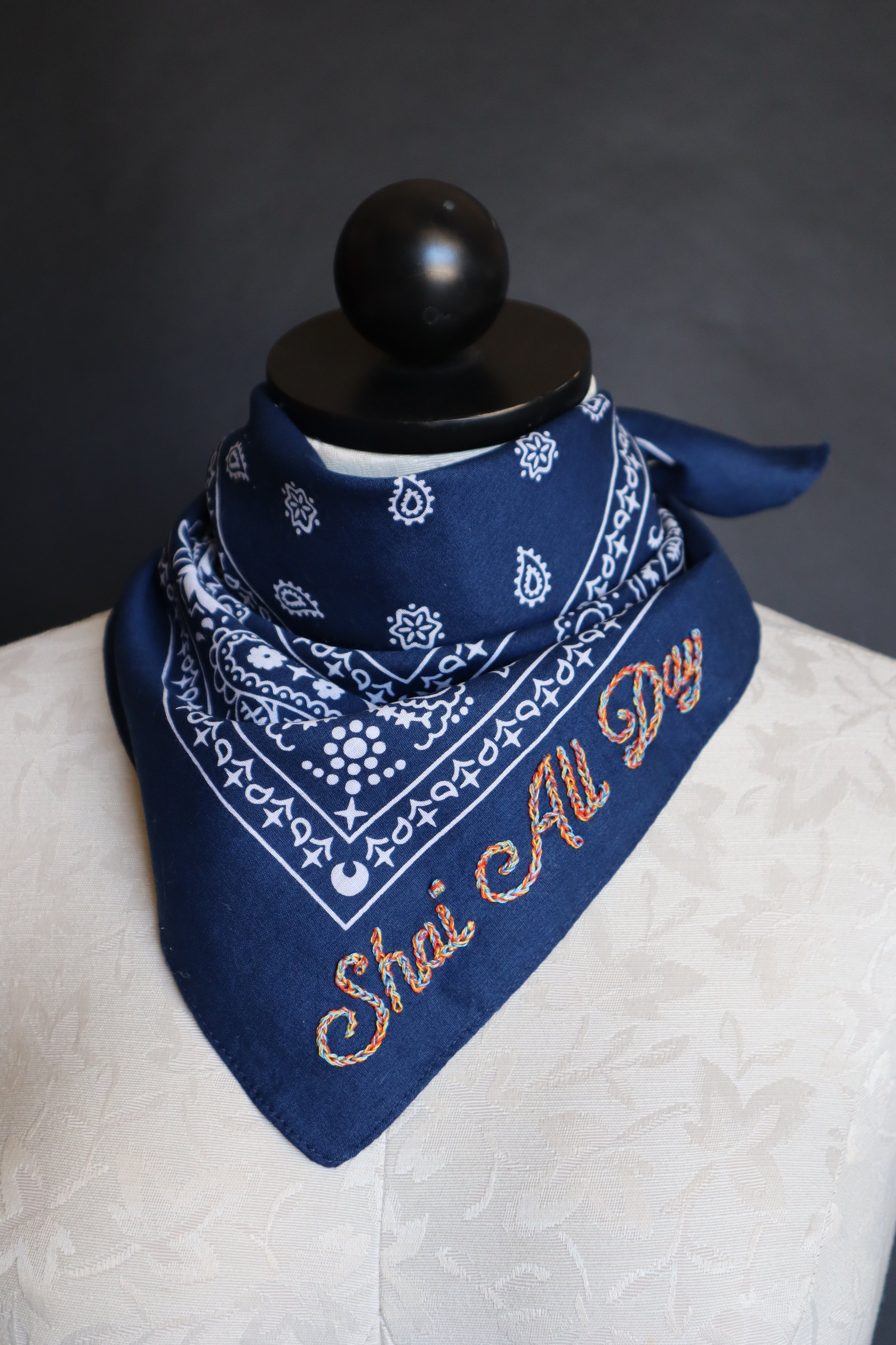 Babes and Bandits - Shai All Day Thunder Bandana 5.JPG