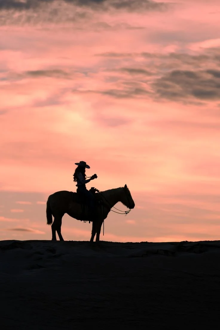 Silhouette of a person riding a horse at sunset, with a pink and orange sky and some clouds.