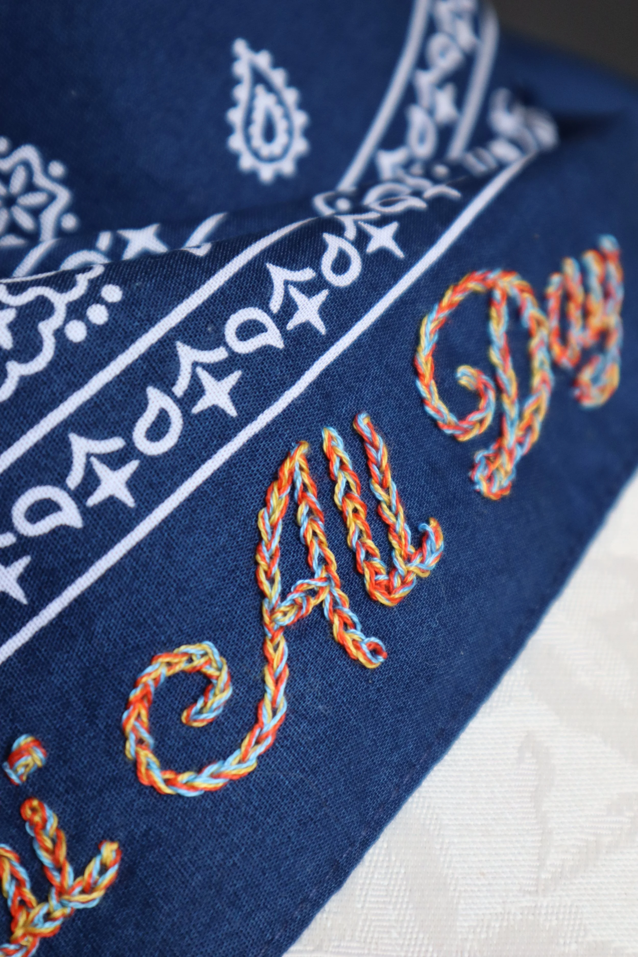 Babes and Bandits - Shai All Day Thunder Bandana 10.JPG