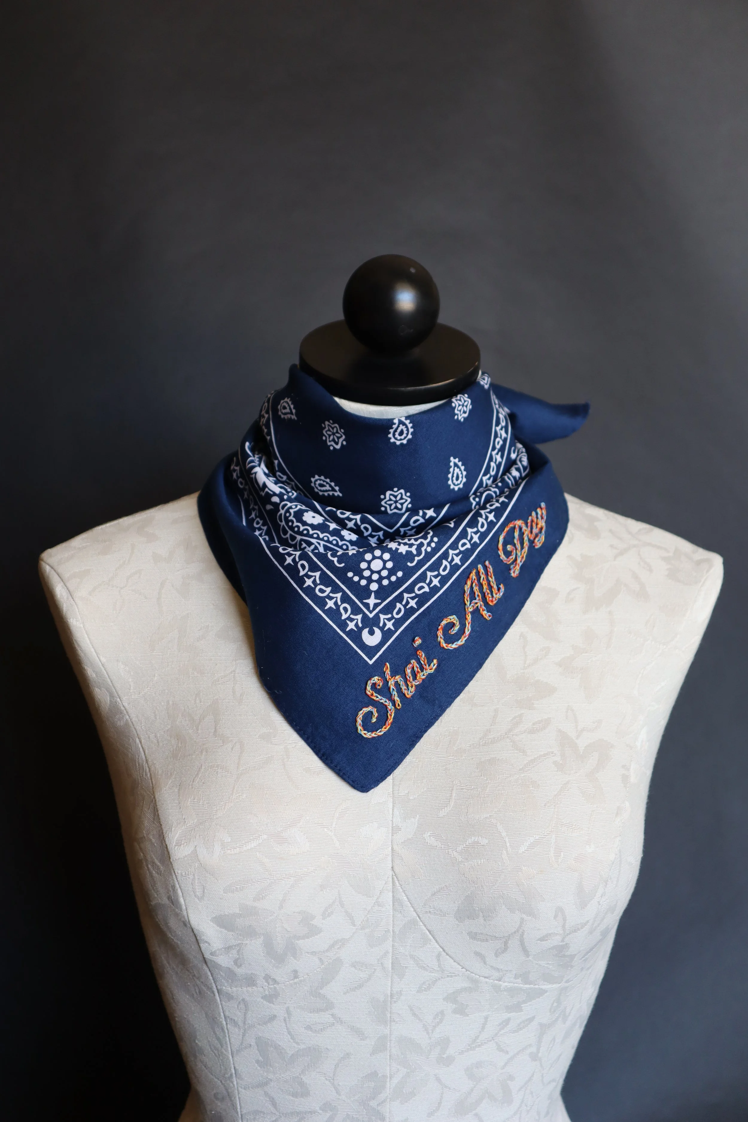 Babes and Bandits - Shai All Day Thunder Bandana 1.JPG