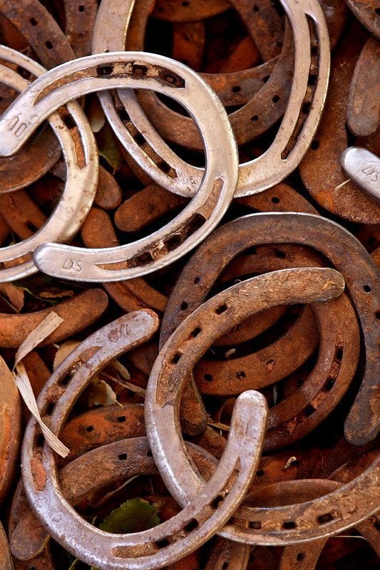 A pile of rusty horseshoes along with some shiny, silver horseshoes.