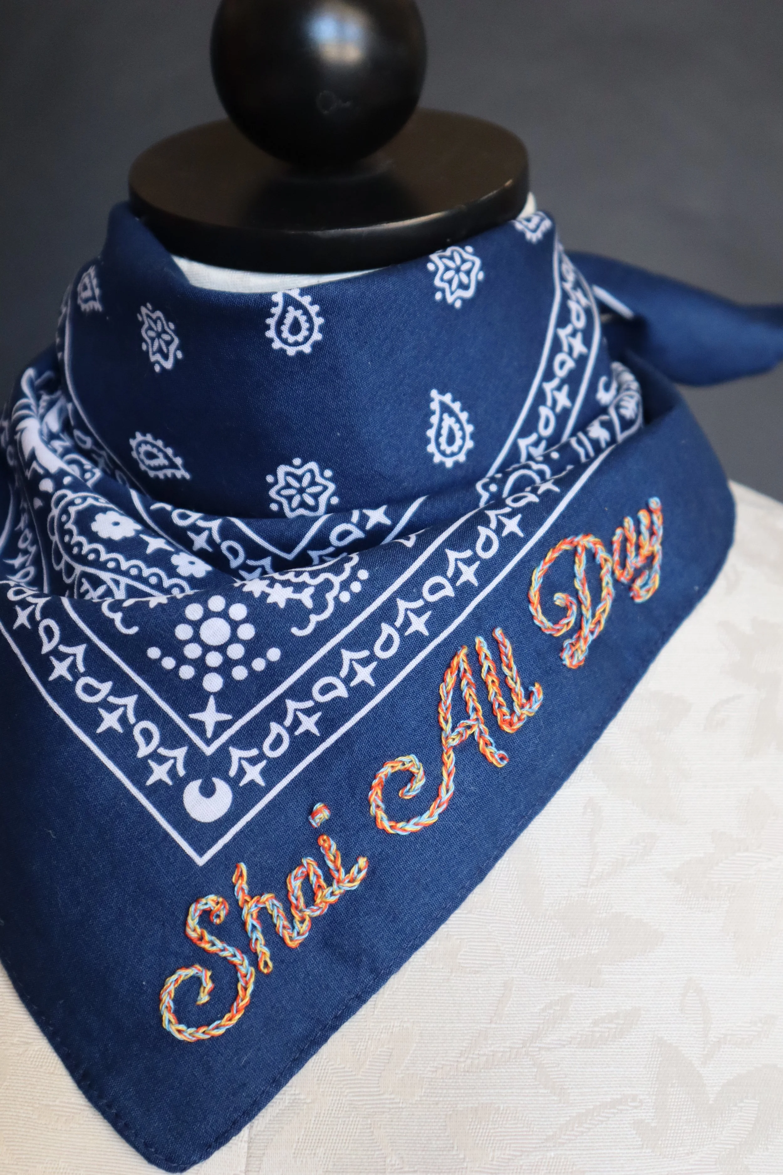 Babes and Bandits - Shai All Day Thunder Bandana 7.JPG