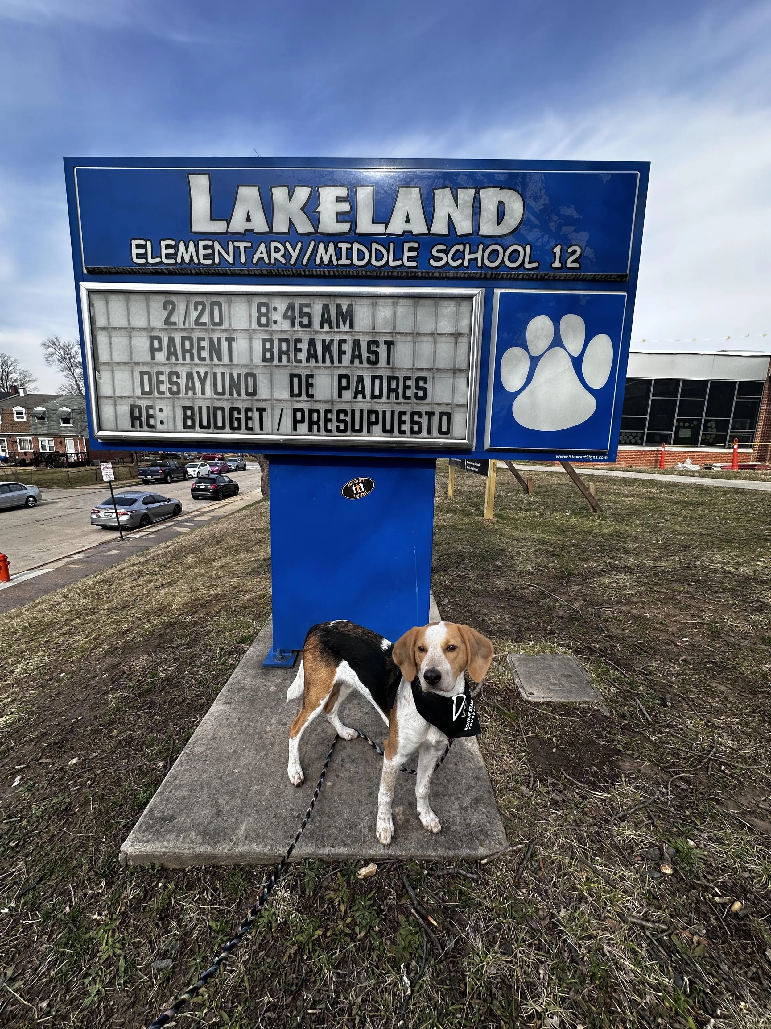 A school sign for Lakeland Elementary/Middle School 12, displaying date and events schedule, with two beagle dogs on leashes sitting on a sidewalk in front of the sign, a building and cars visible in the background, and a blue sky above.