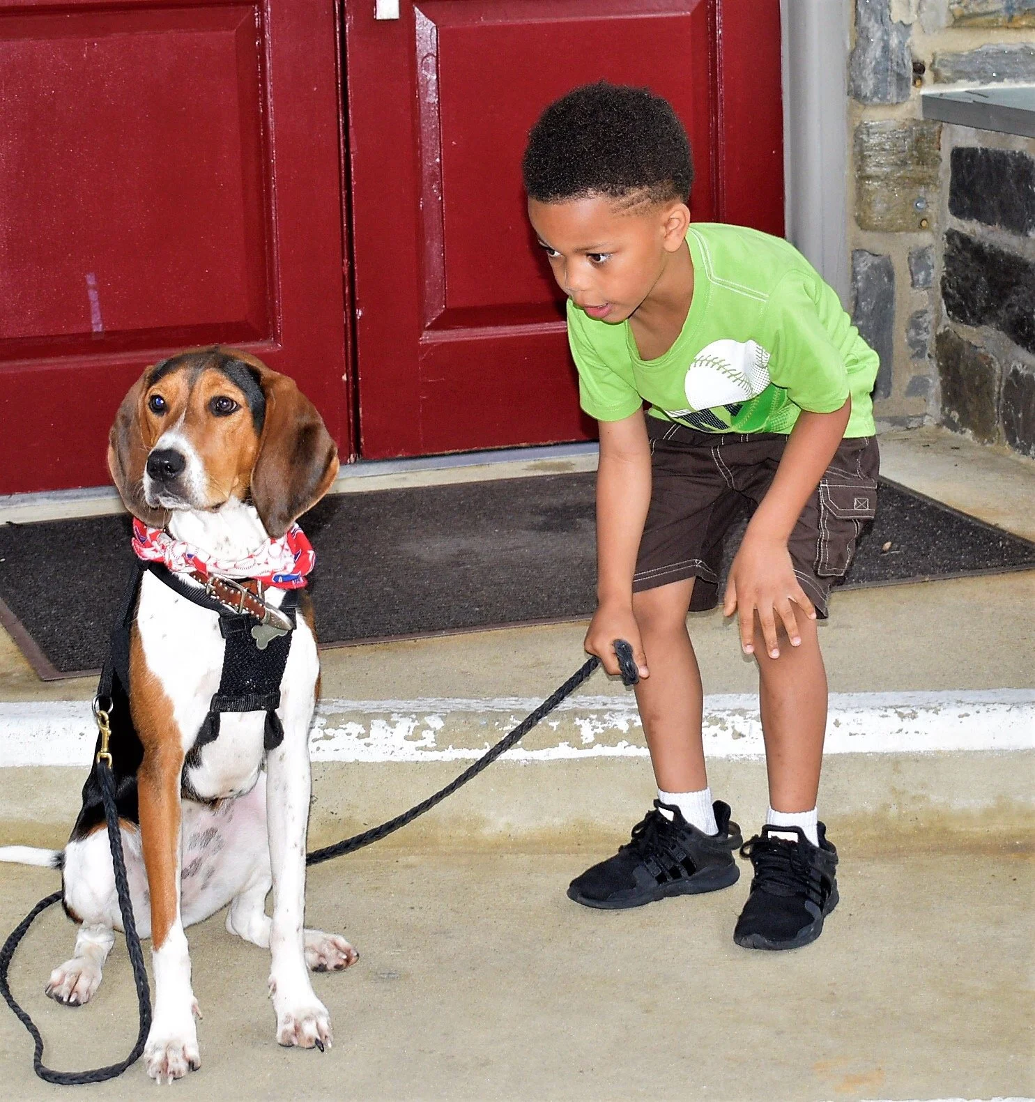 A young boy in a green t-shirt and dark shorts crouching and holding a leash, looking at a large beagle dog sitting on the sidewalk in front of a red door and stone wall.